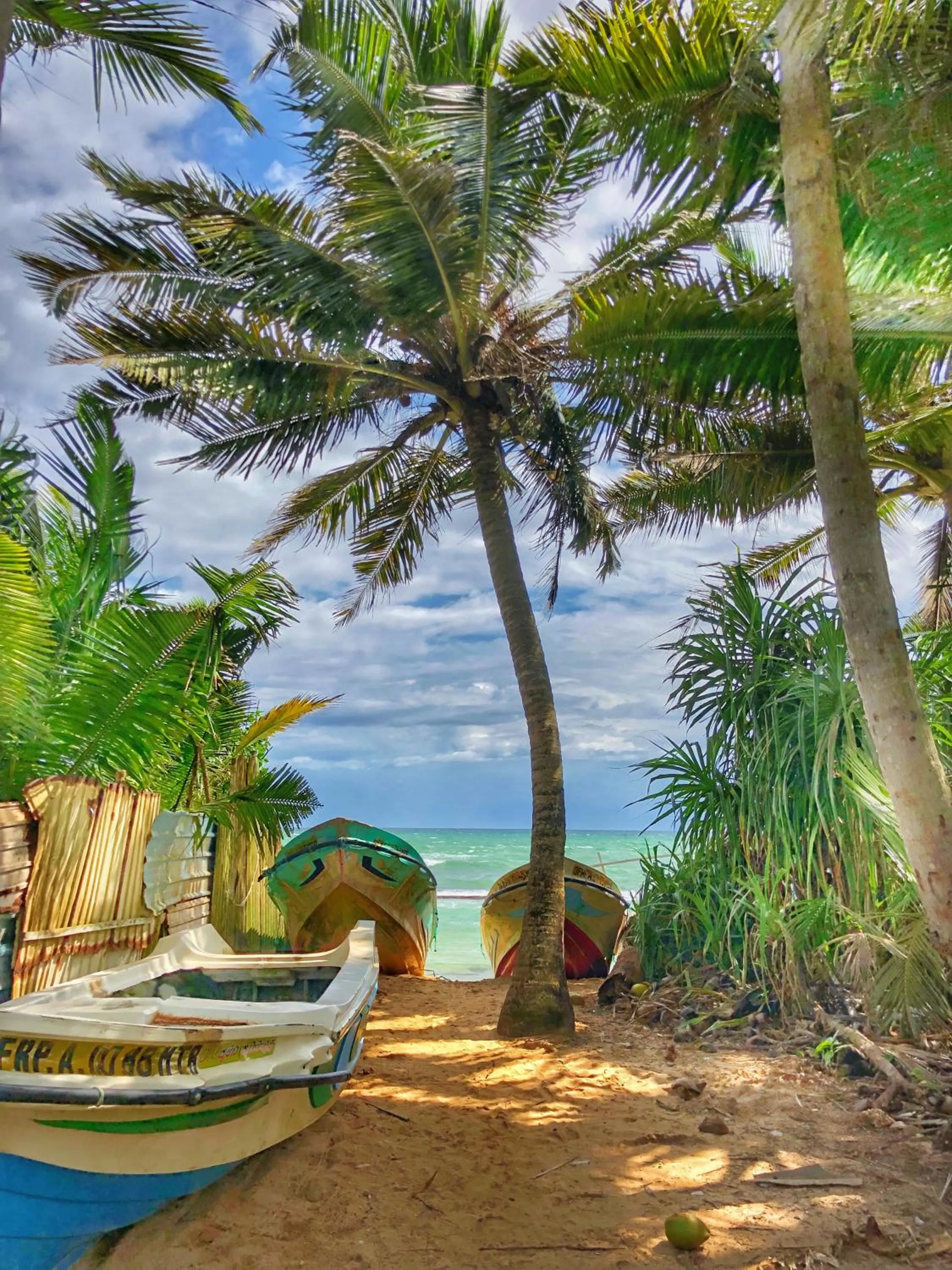 Beach in Turtle Eco Beach