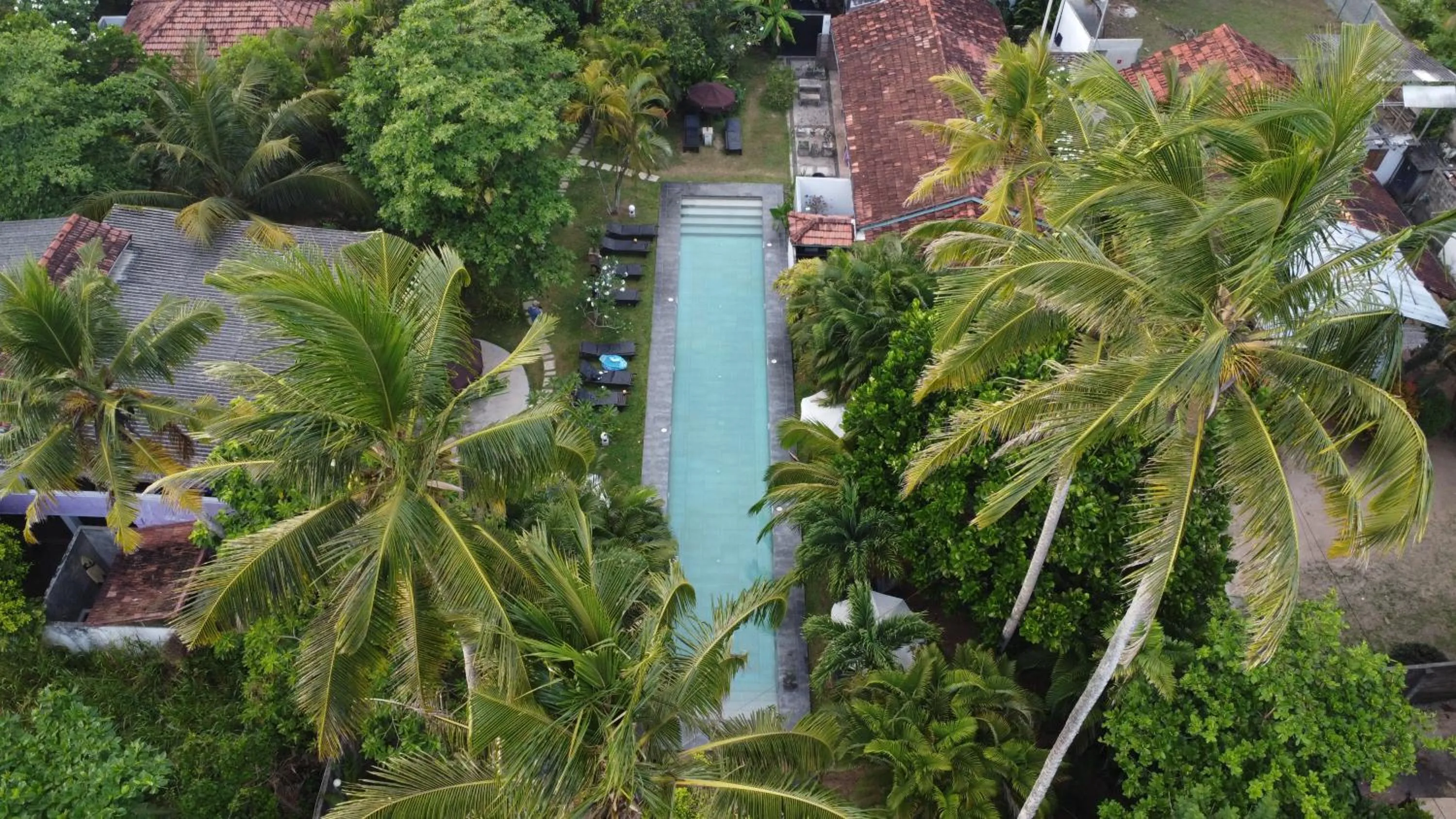 Swimming pool in Turtle Eco Beach