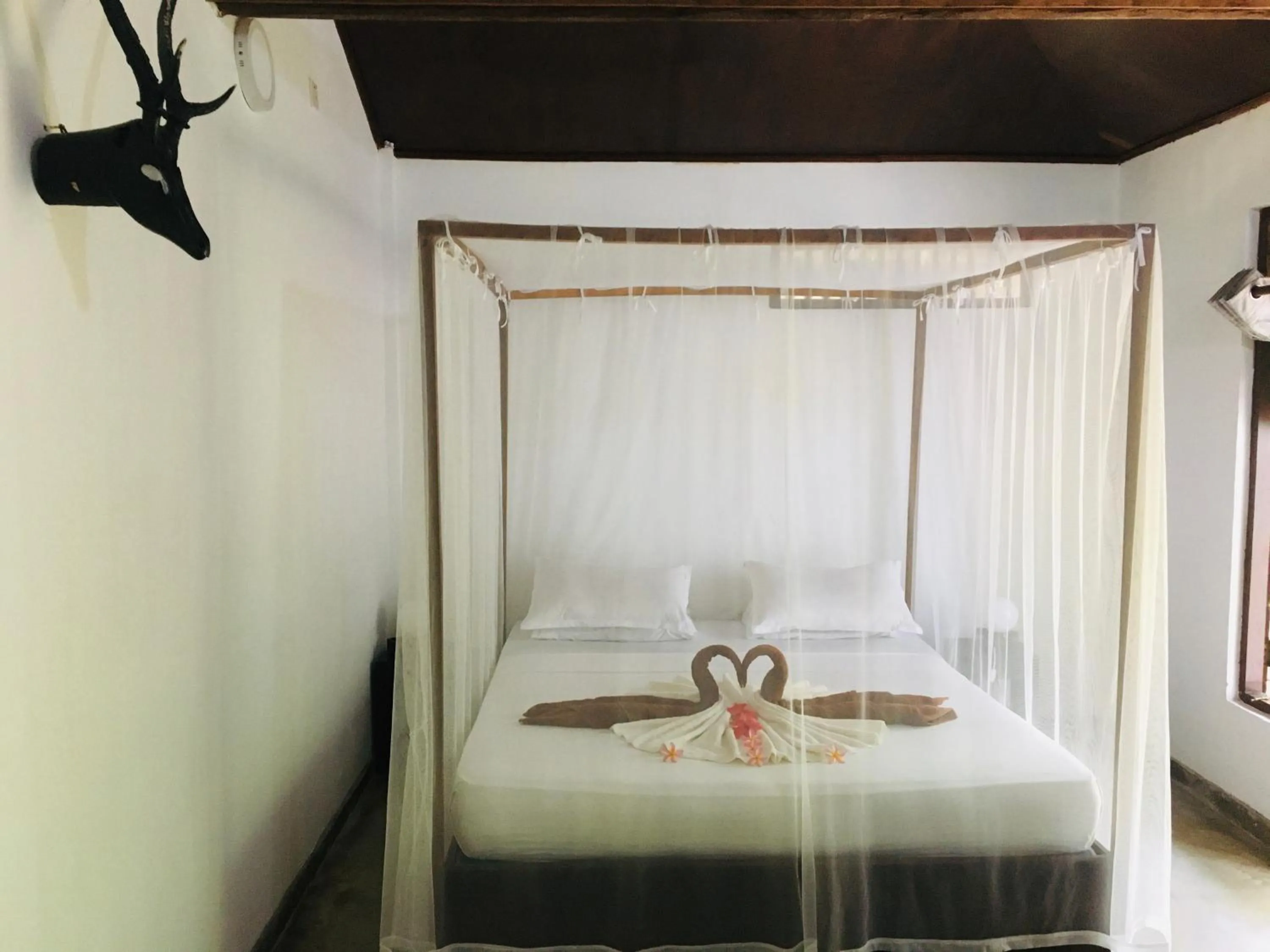 Bed in Turtle Eco Beach