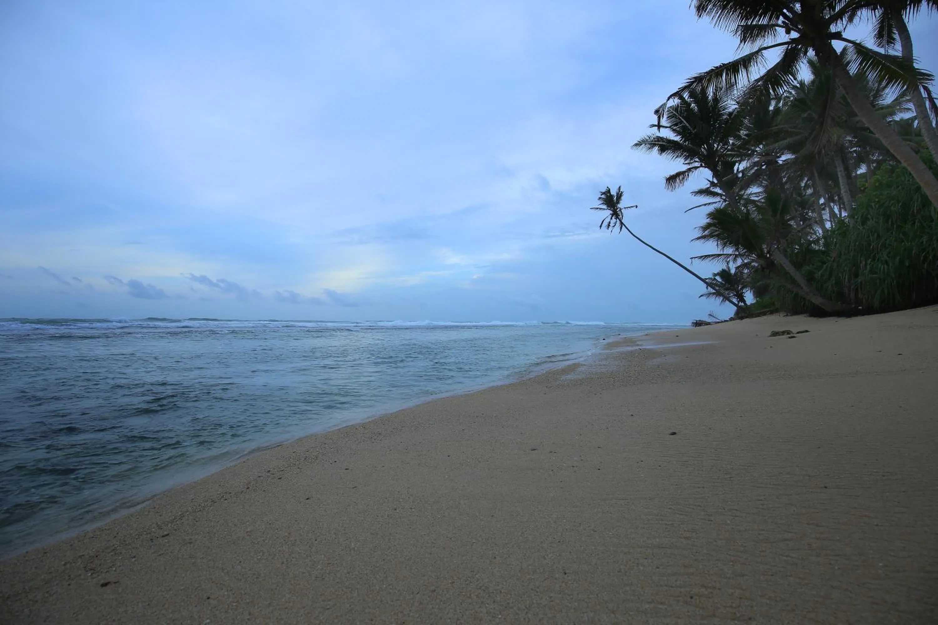 Natural landscape in Turtle Eco Beach