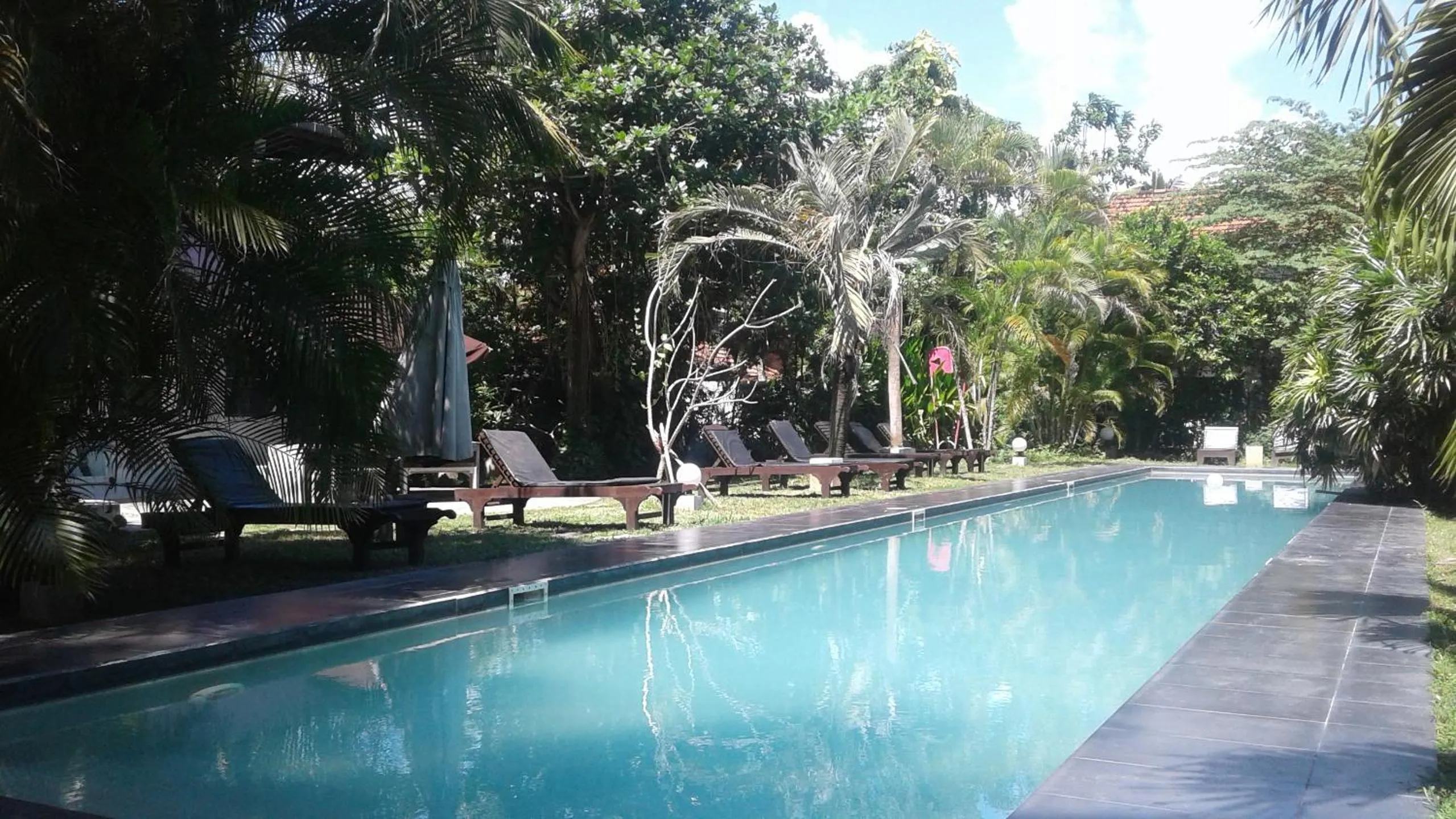 Pool view in Turtle Eco Beach