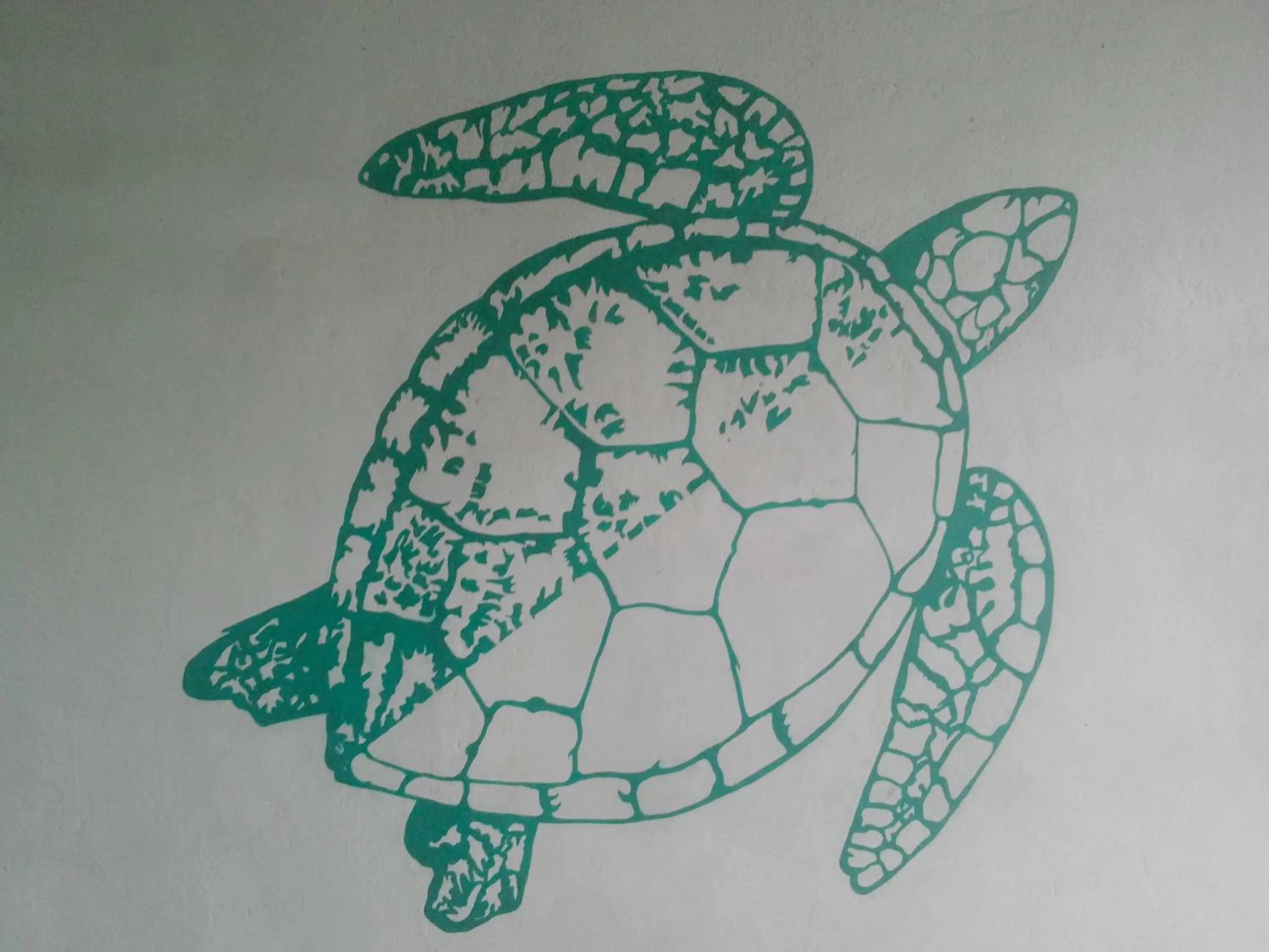 Logo/Certificate/Sign in Turtle Eco Beach