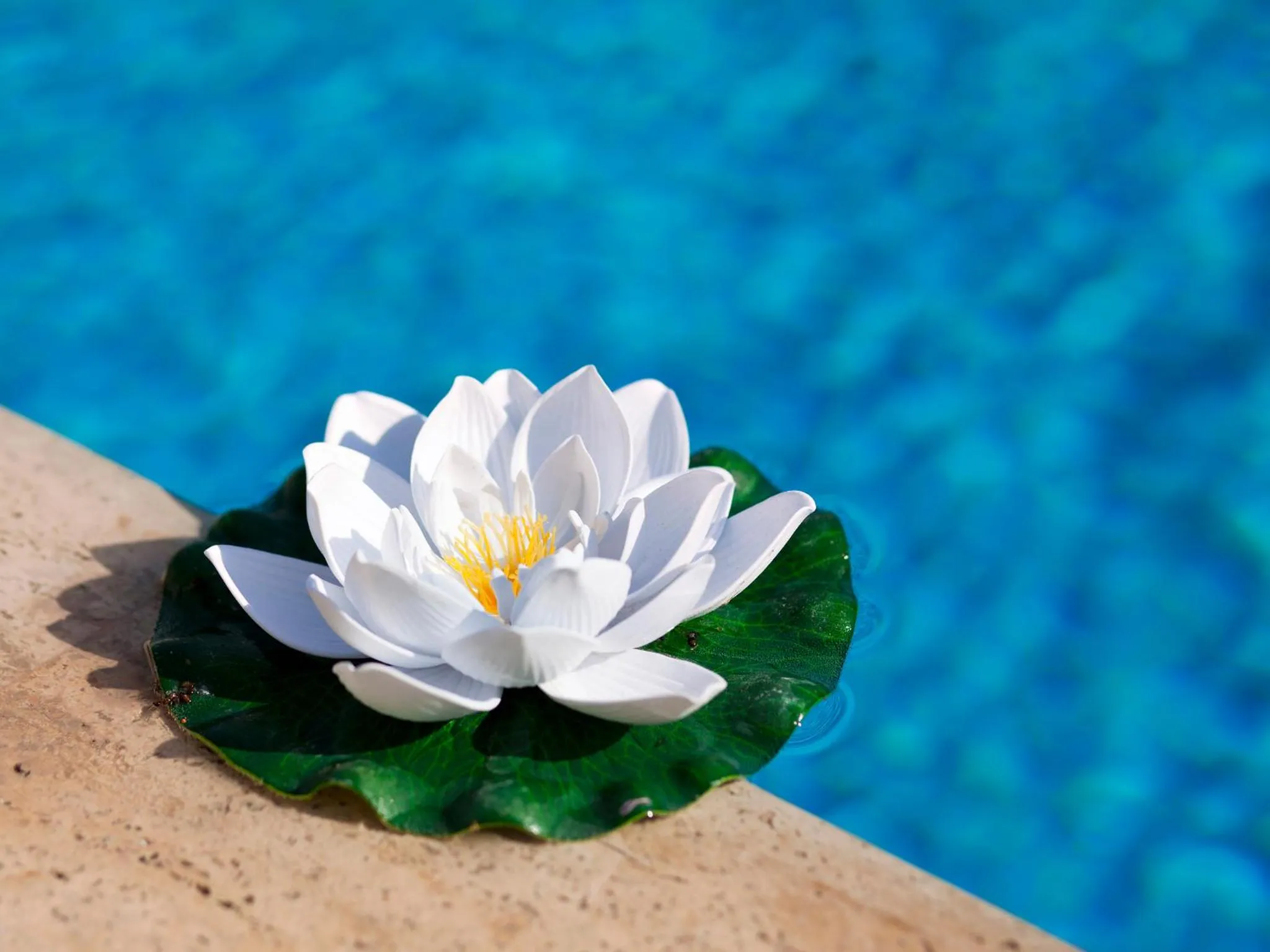 Other in Montana Hotel