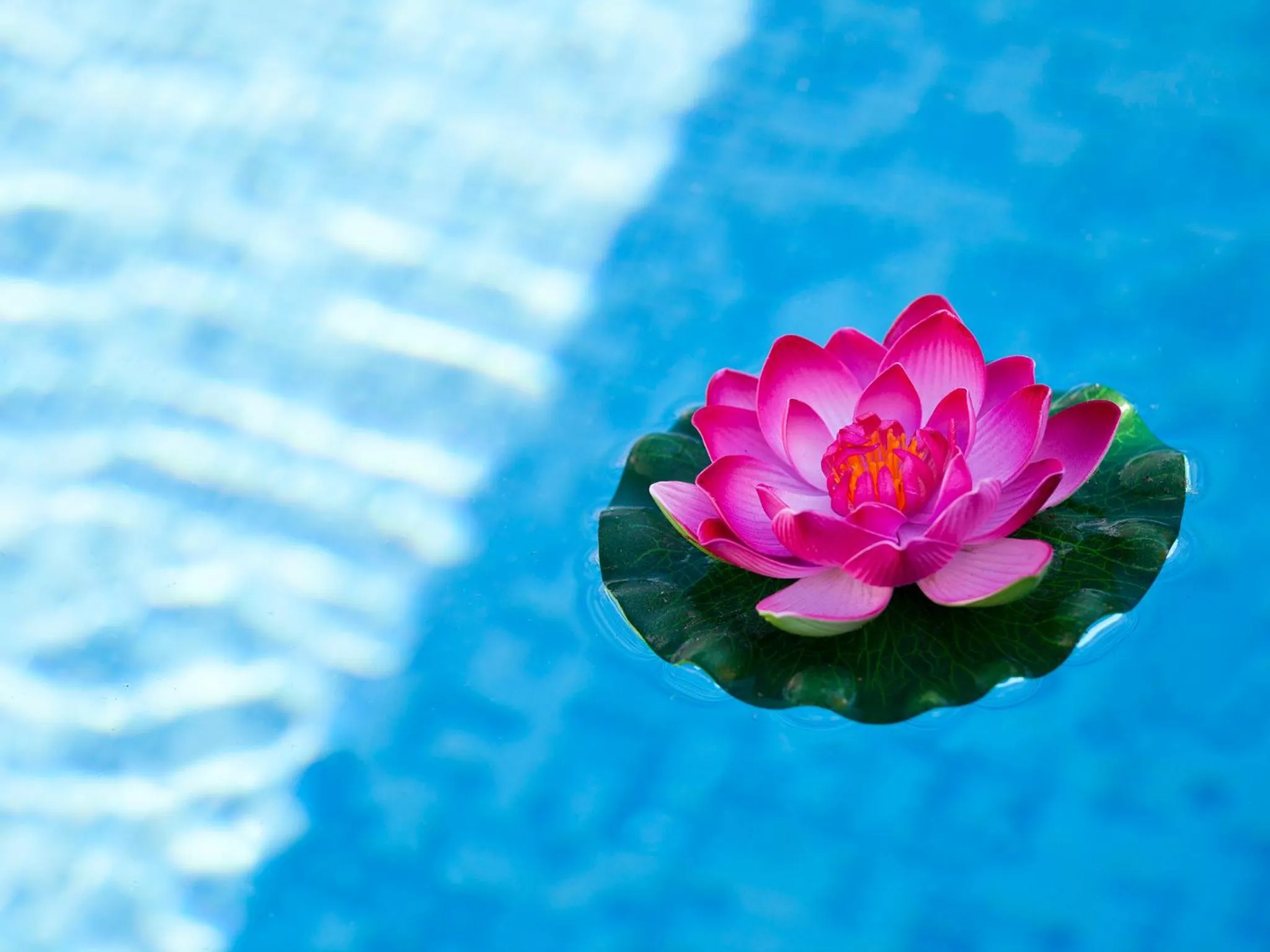 Other in Montana Hotel