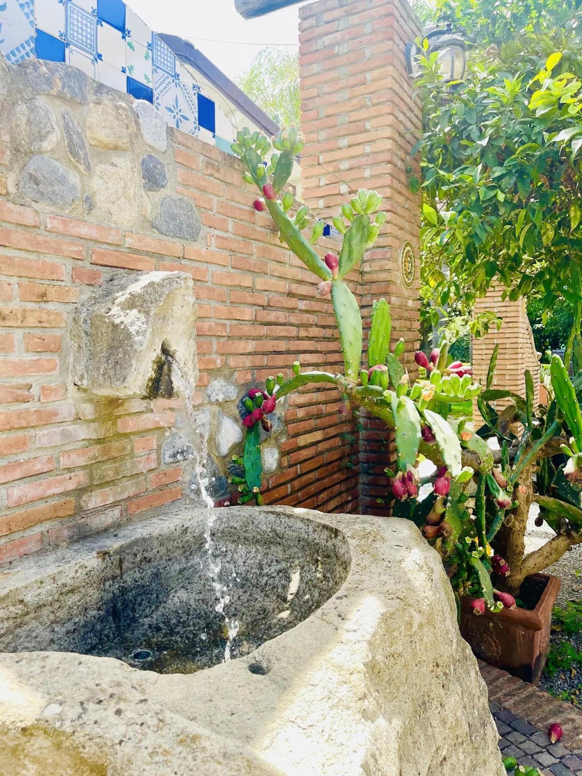 Natural landscape in Borgo Camicia In