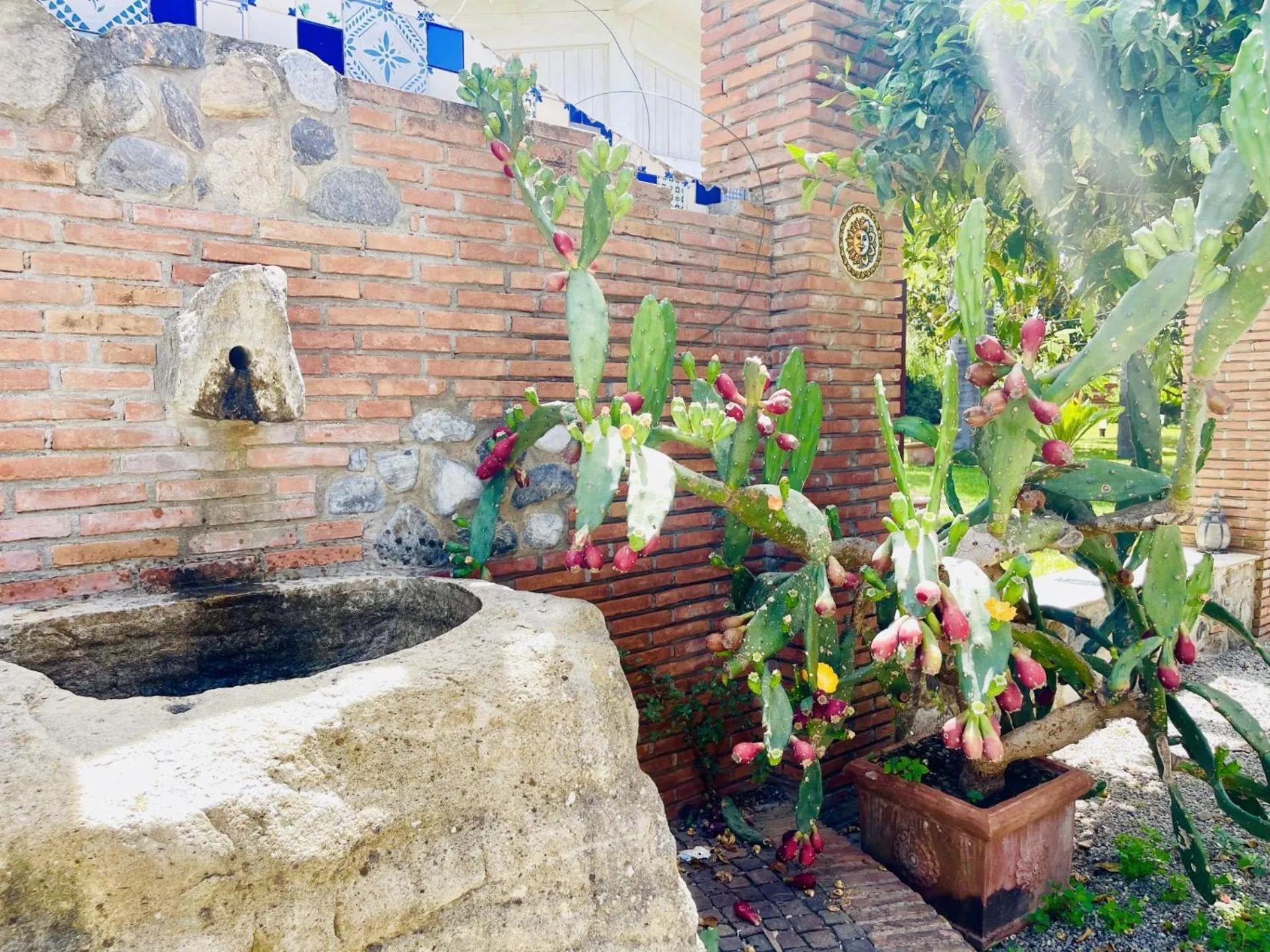 Garden in Borgo Camicia In