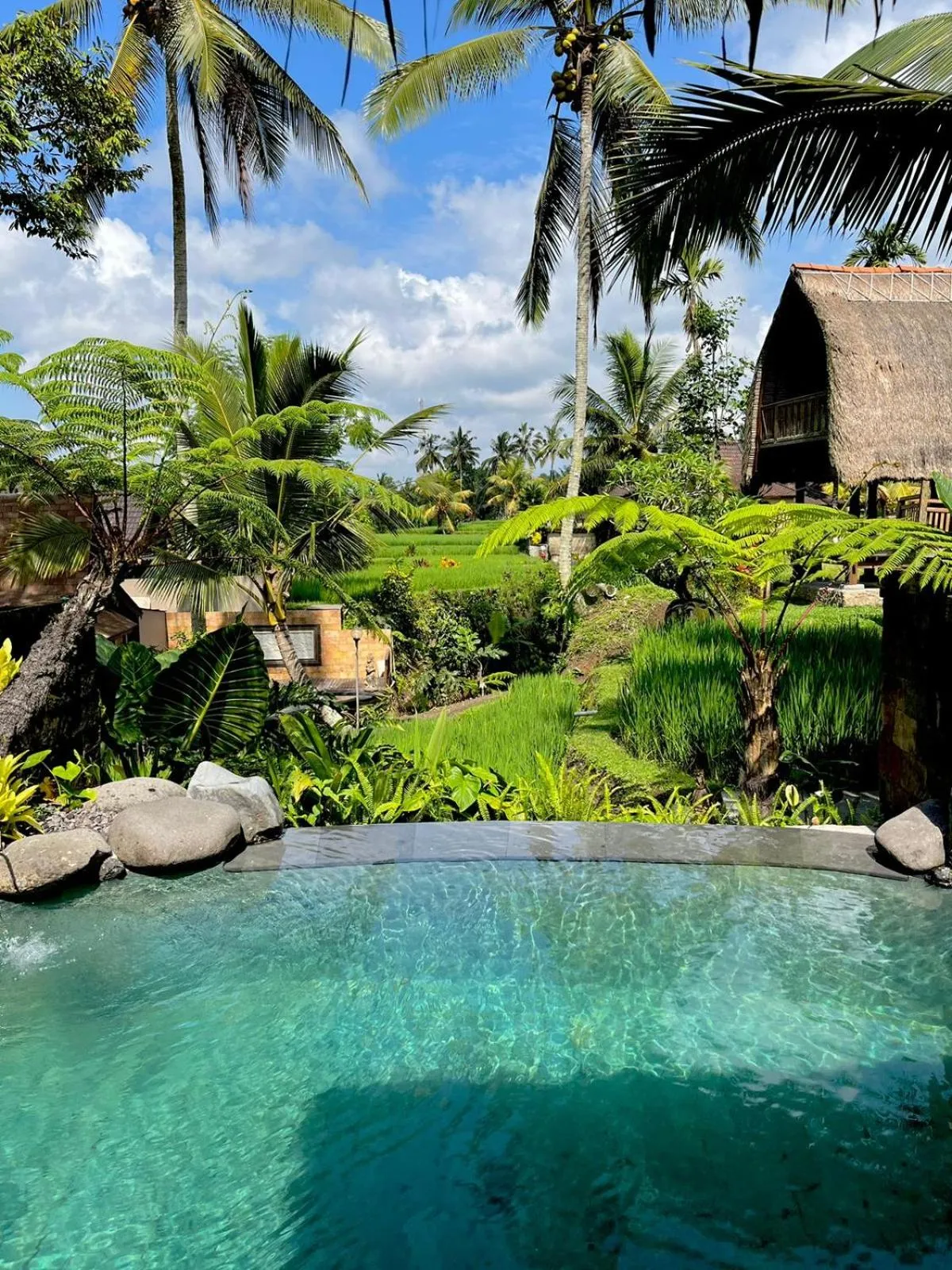 Swimming pool in Pondok Sebatu Eco Lodge