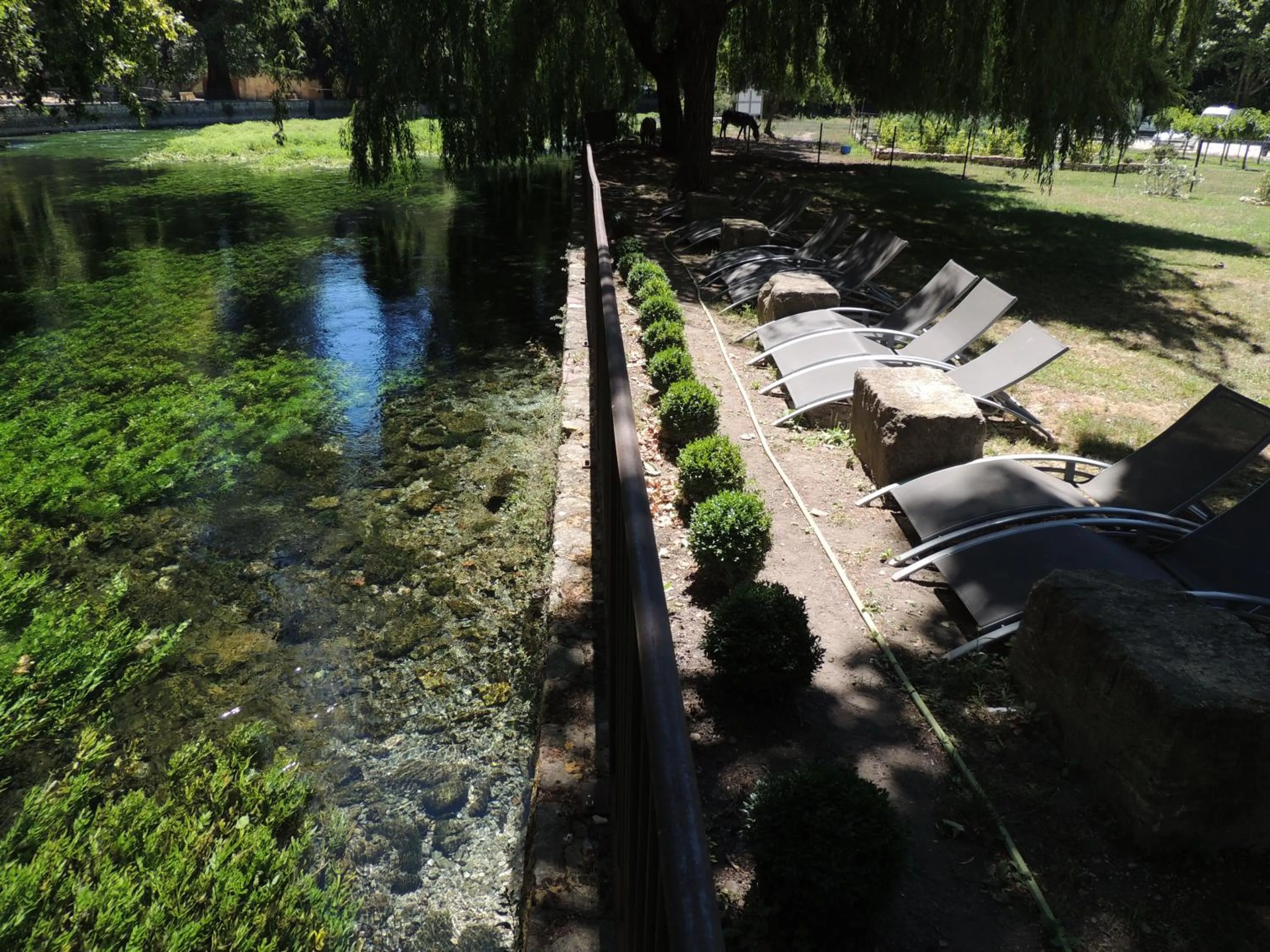 Natural landscape in Logis Hôtel Restaurant du Parc