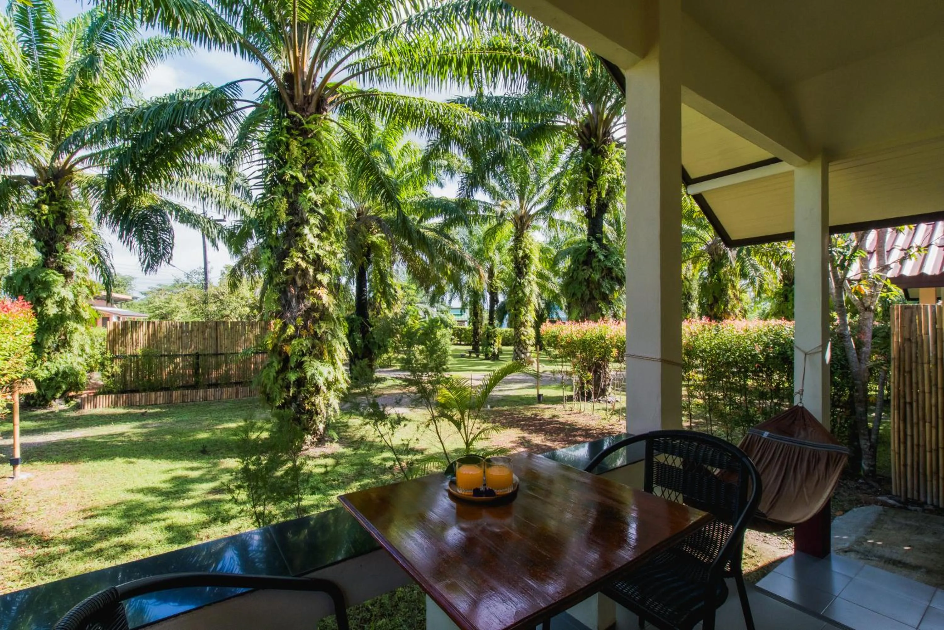 Garden view in Green Garden House