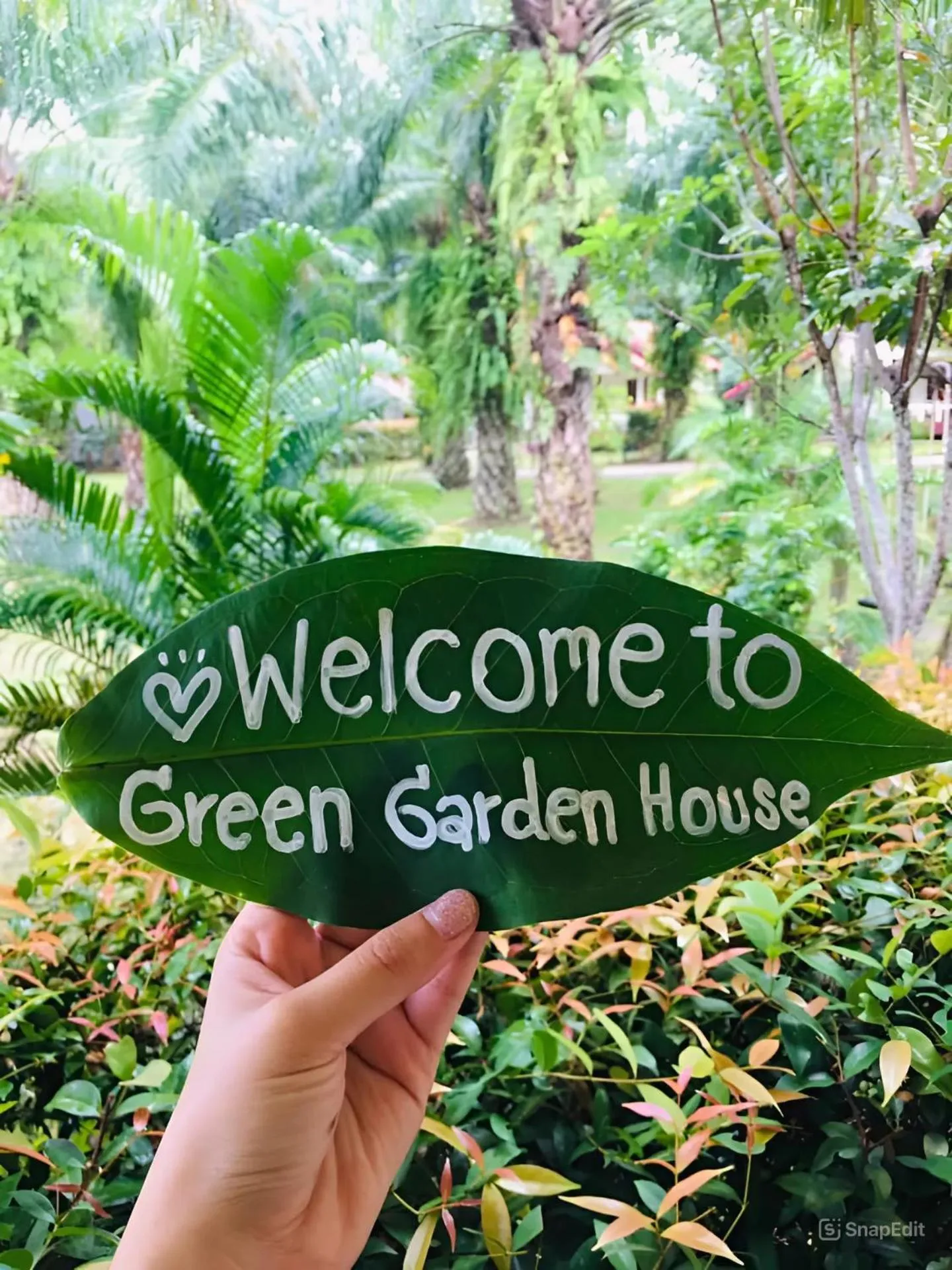 Garden in Green Garden House