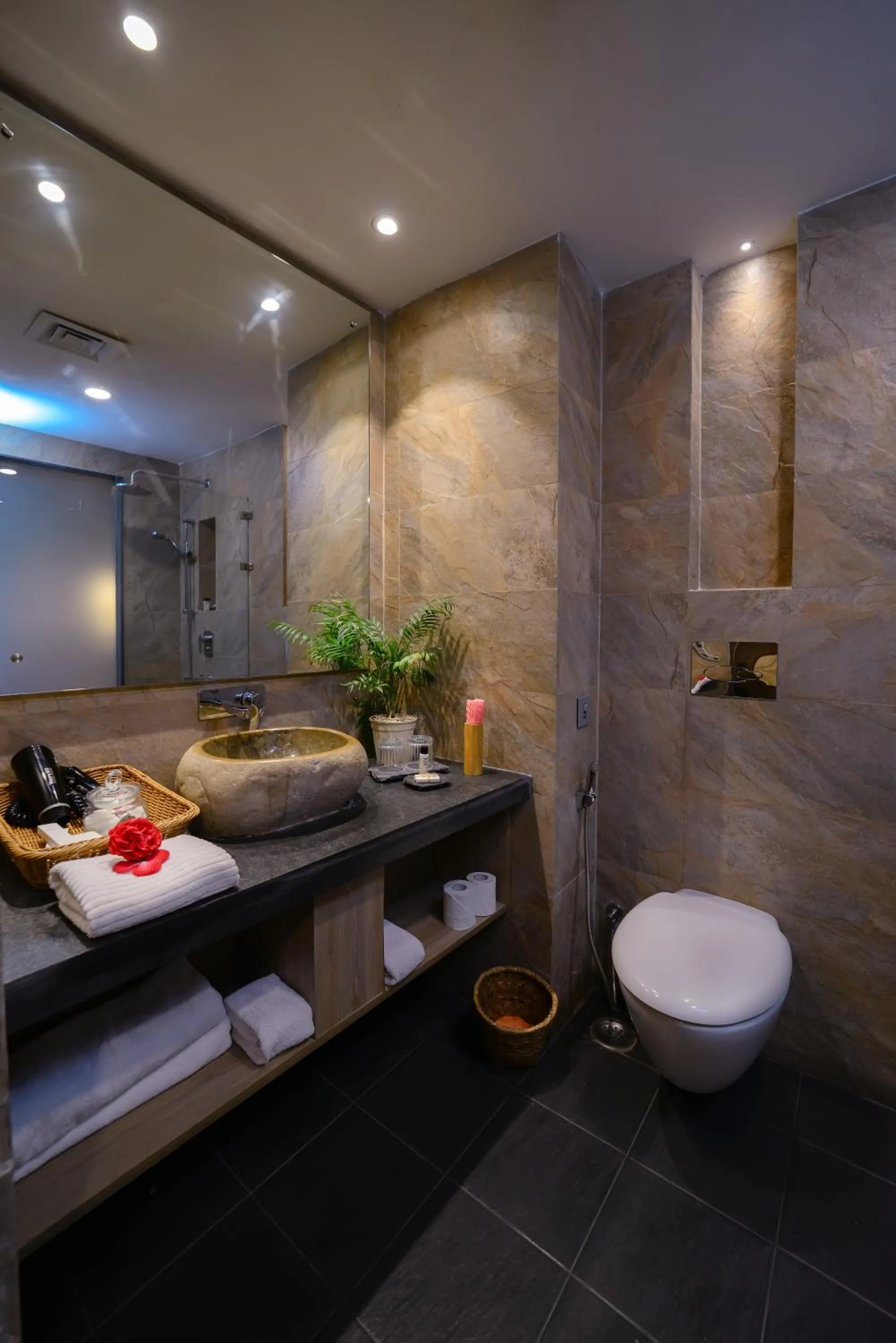 Toilet in Sarangkot Mountain Lodge