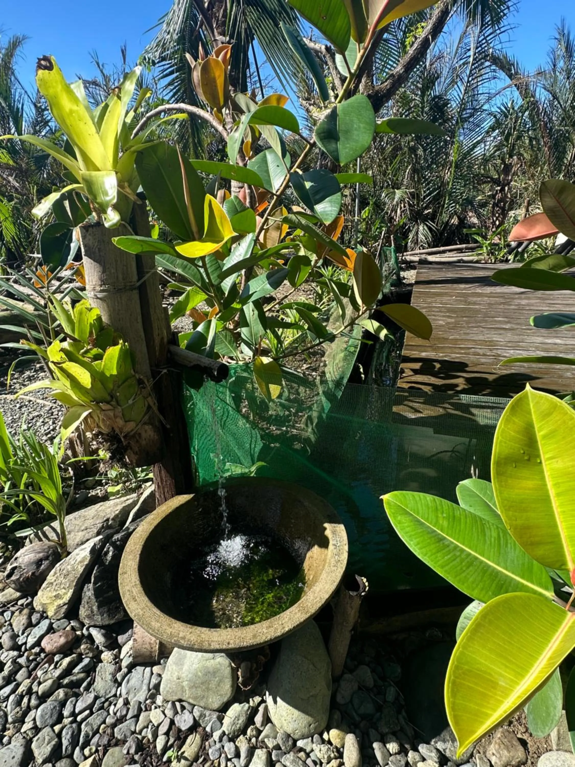 Lotus Sun & Waves Beach Resort