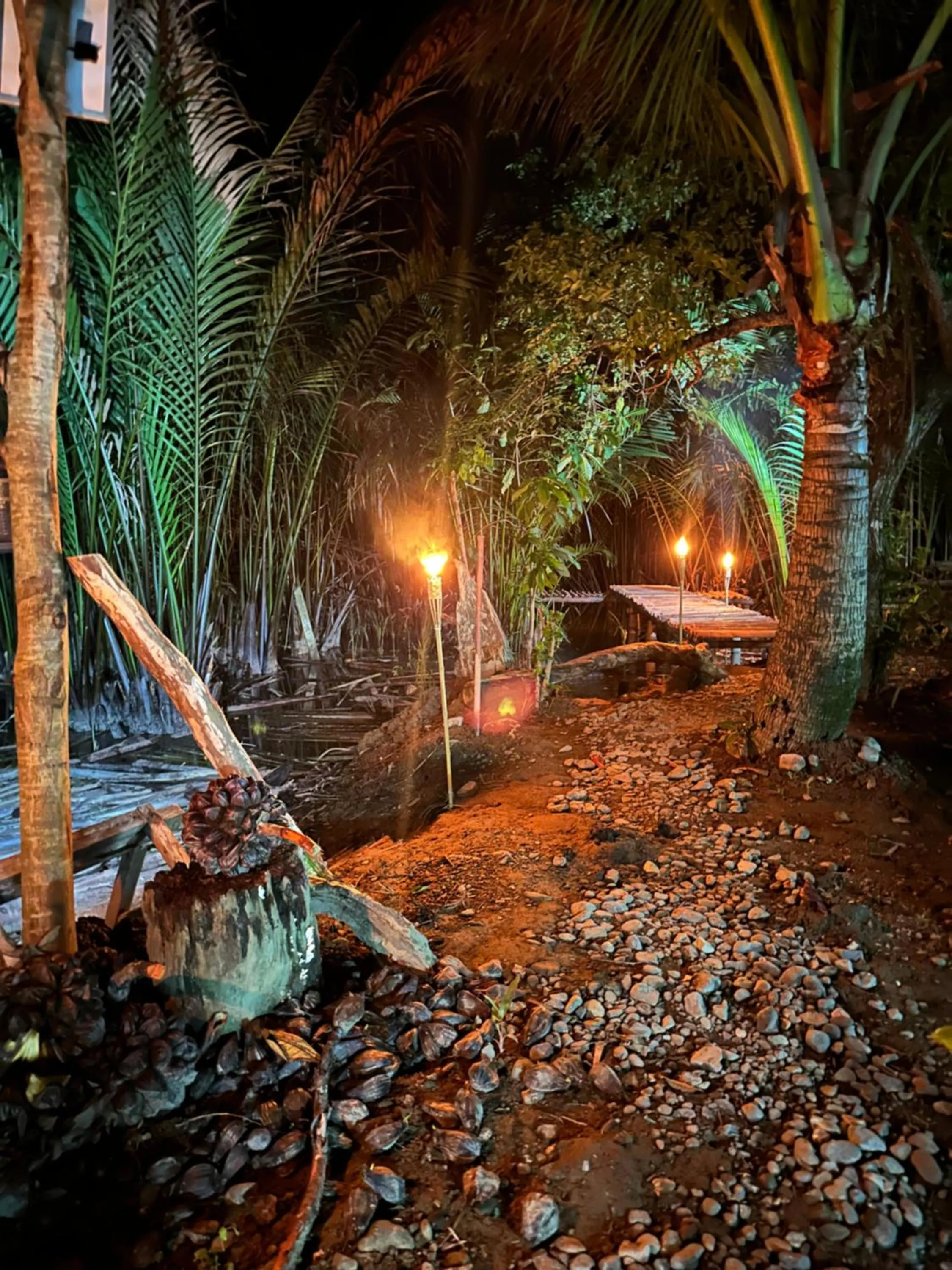 Night in Lotus Sun & Waves Beach Resort