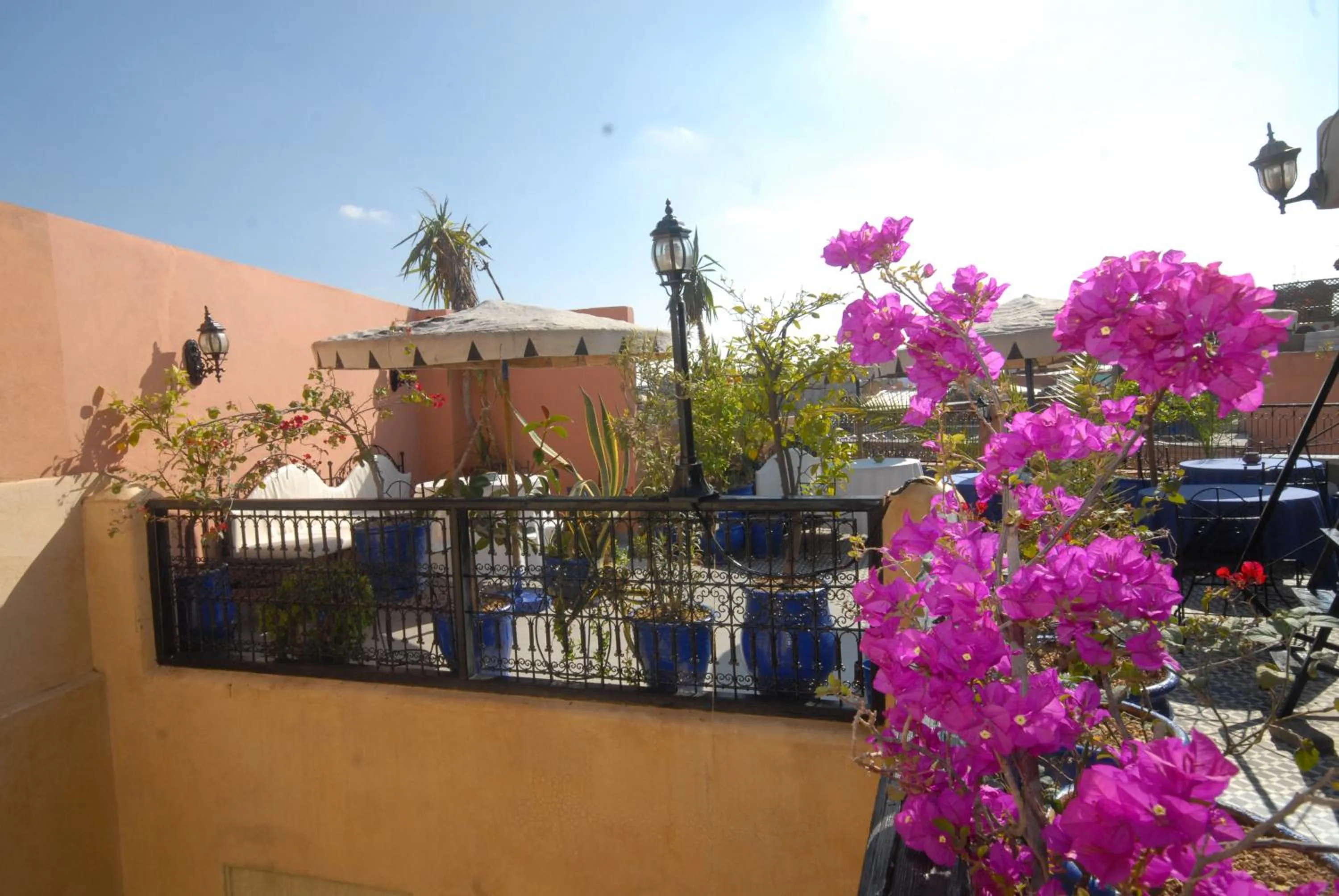 Balcony/Terrace in Riad Hôtel Belleville Marrakech