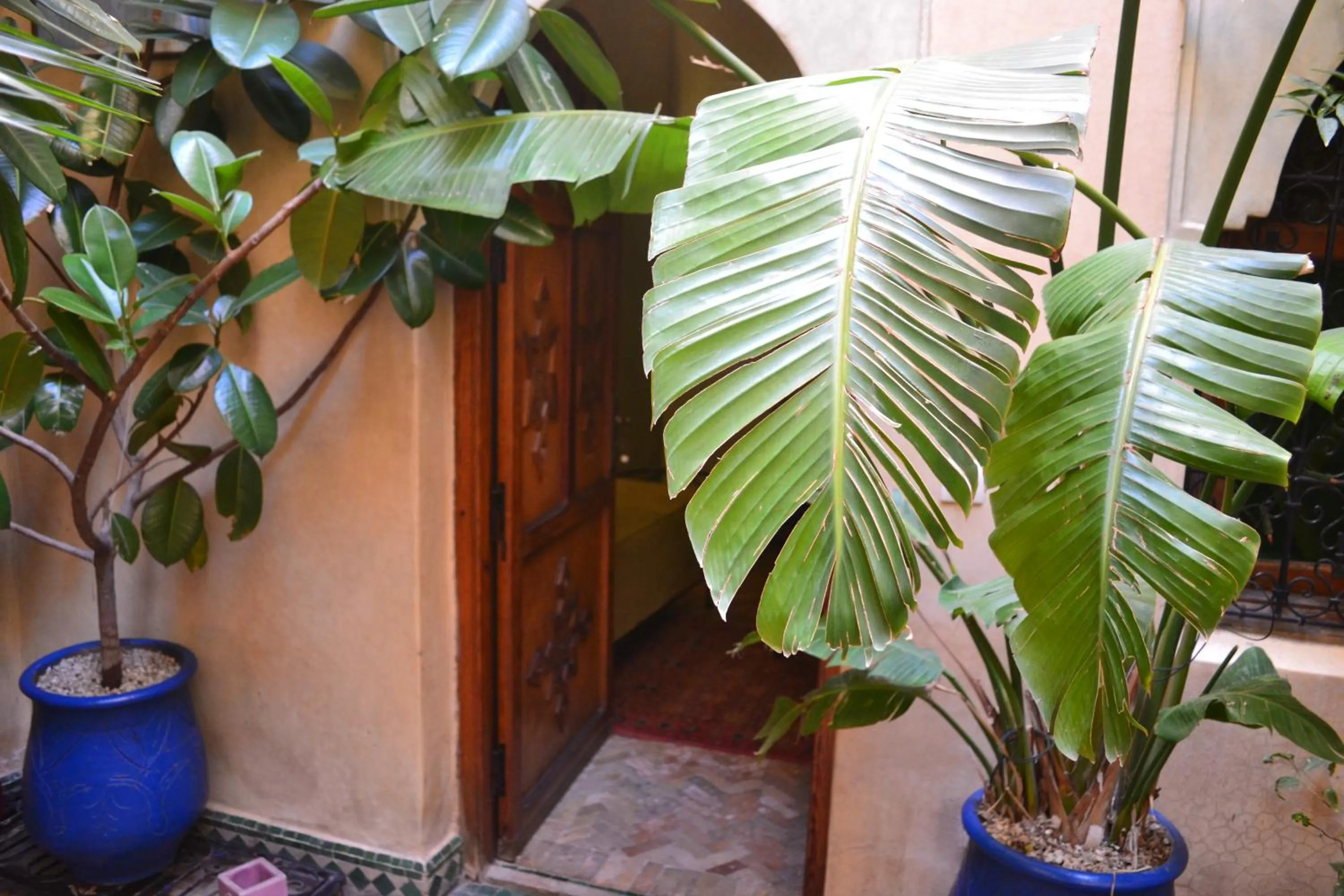 Day in Riad Hôtel Belleville Marrakech