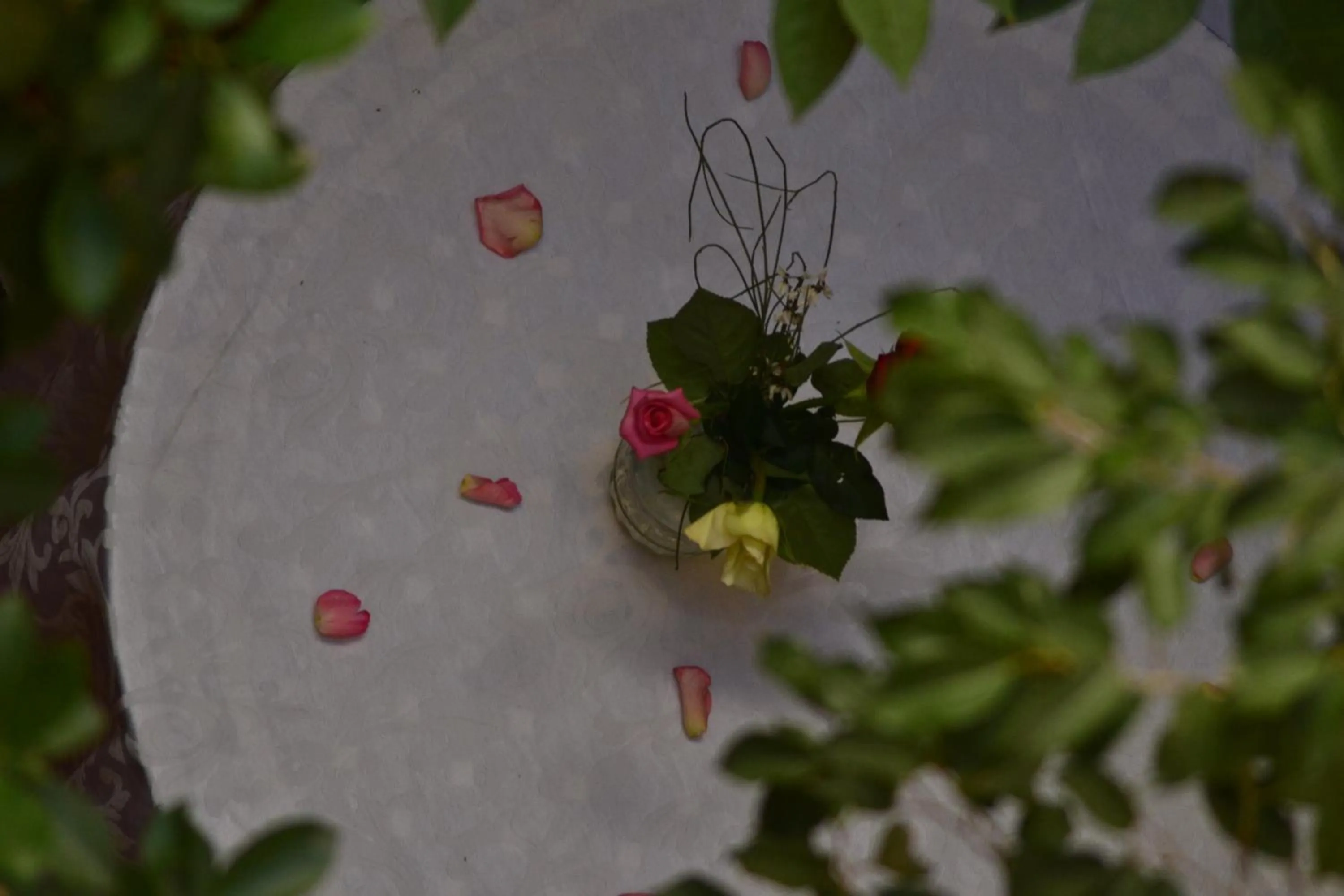 Decorative detail in Riad Hôtel Belleville Marrakech