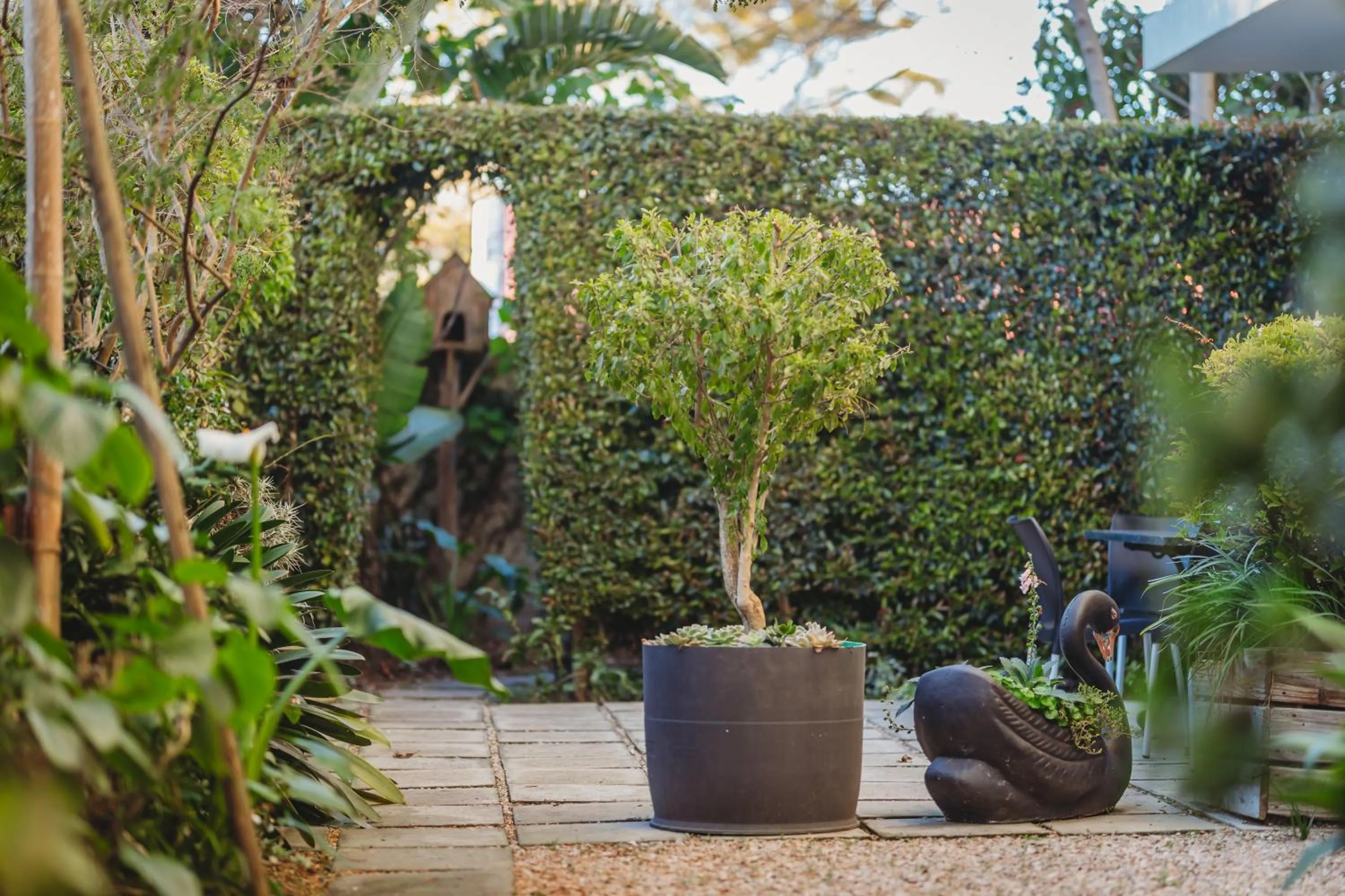 Garden in 17onWellington Apartments