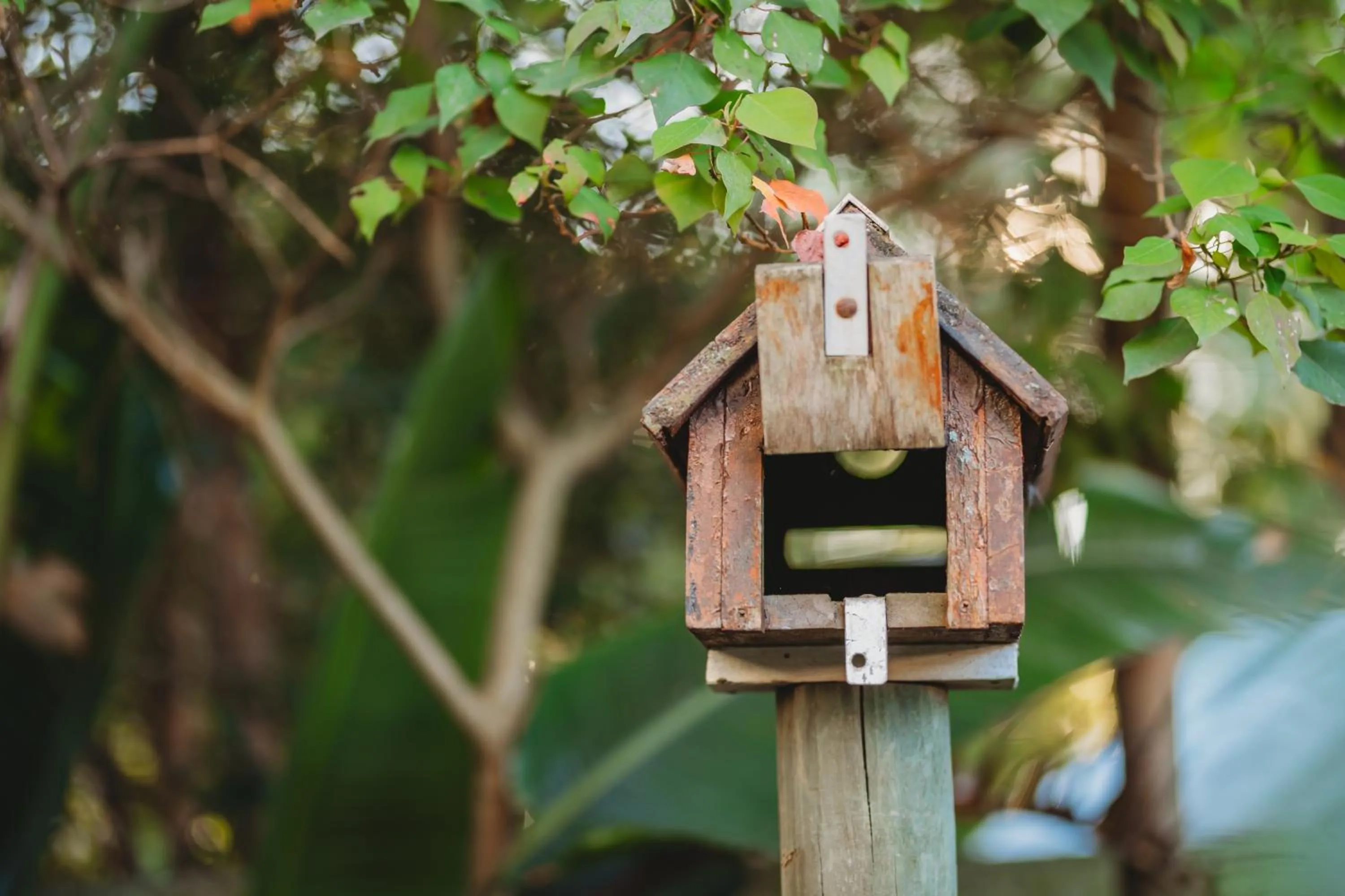 Bird's eye view in 17onWellington Apartments