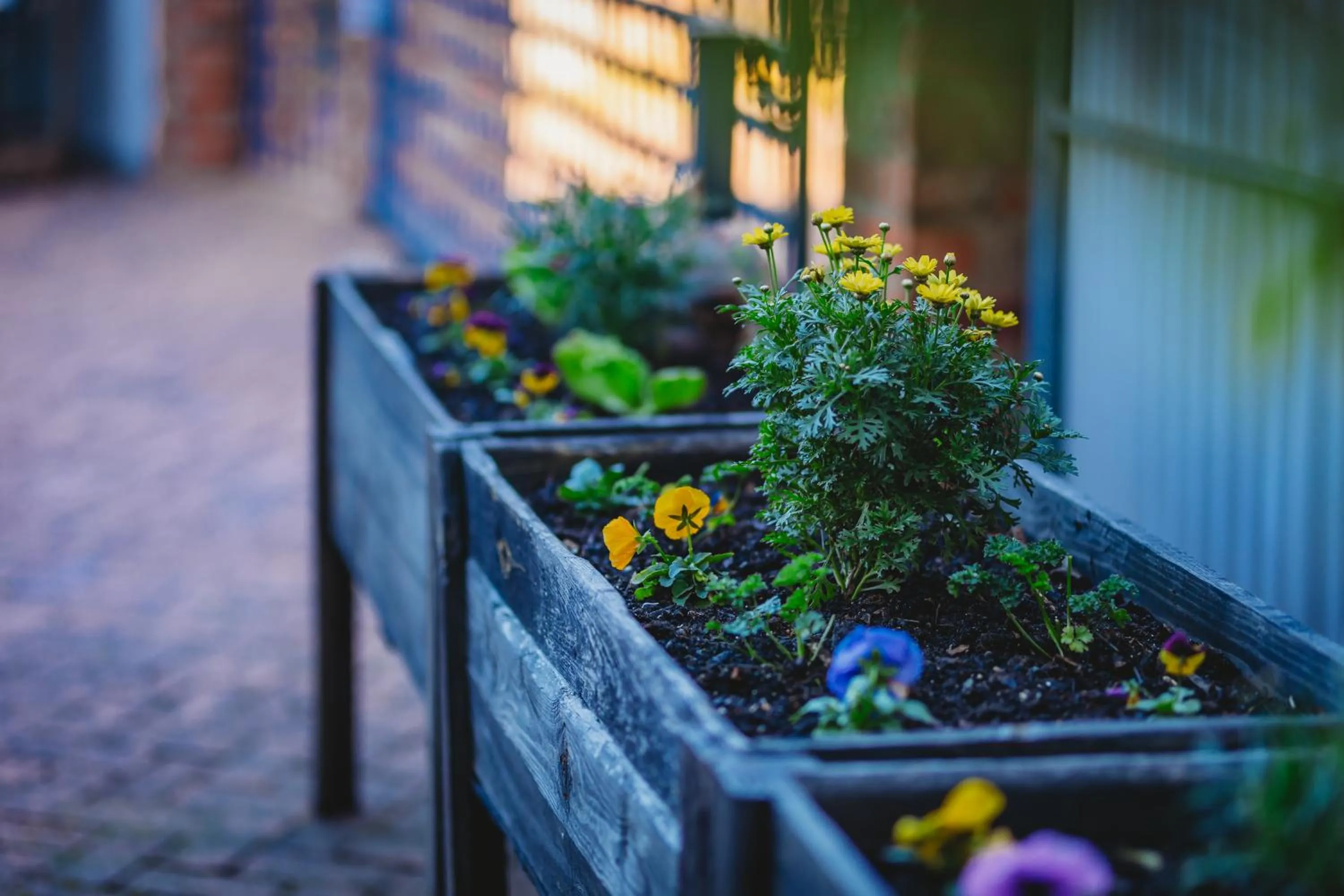 Garden in 17onWellington Apartments
