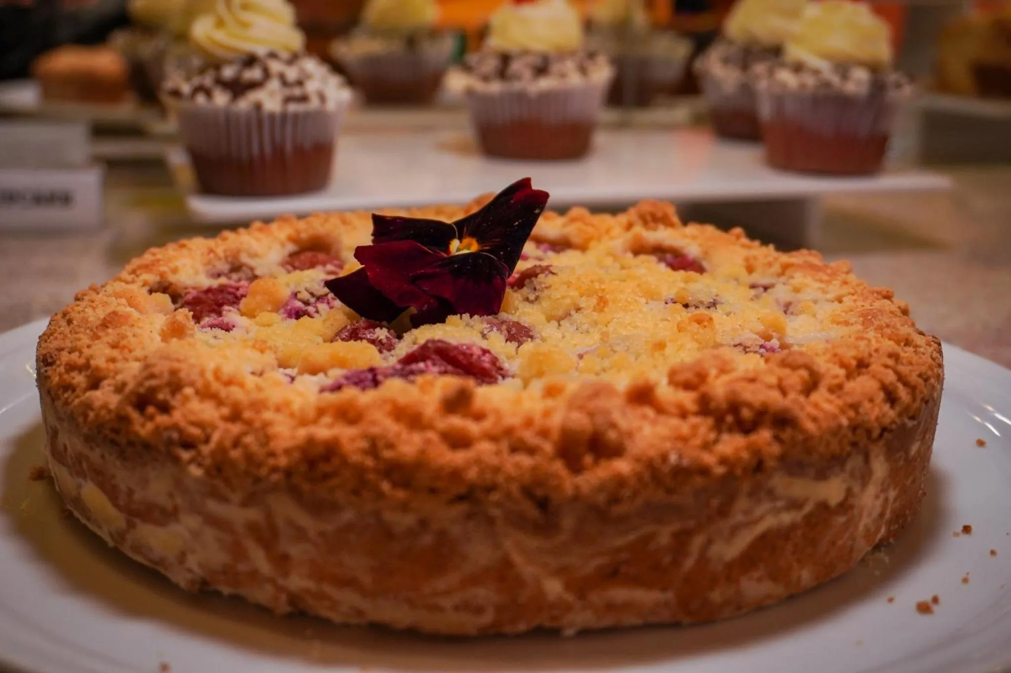 Hotel Vovó Carolina