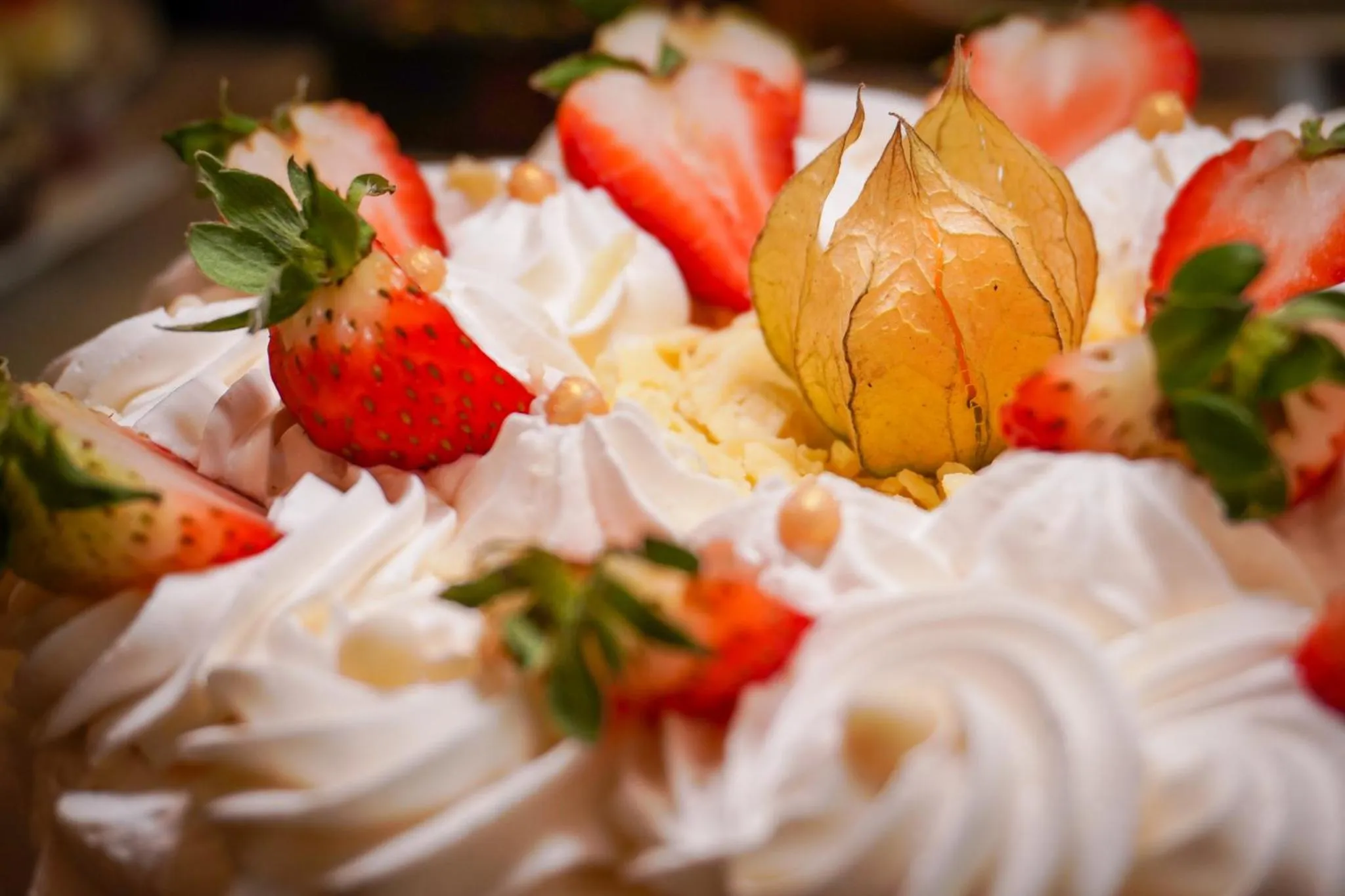 Hotel Vovó Carolina