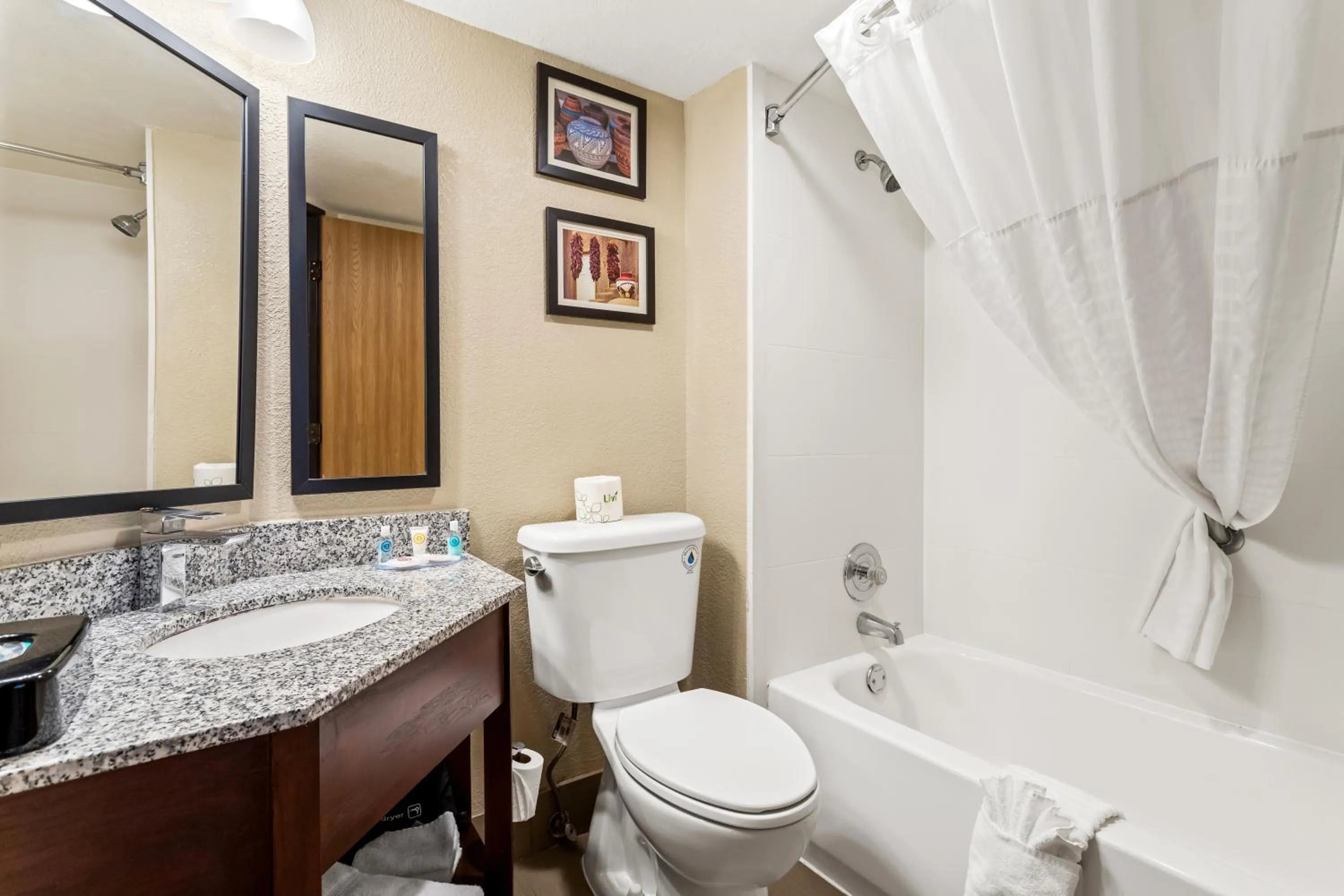 Shower in Comfort Inn & Suites Albuquerque Downtown