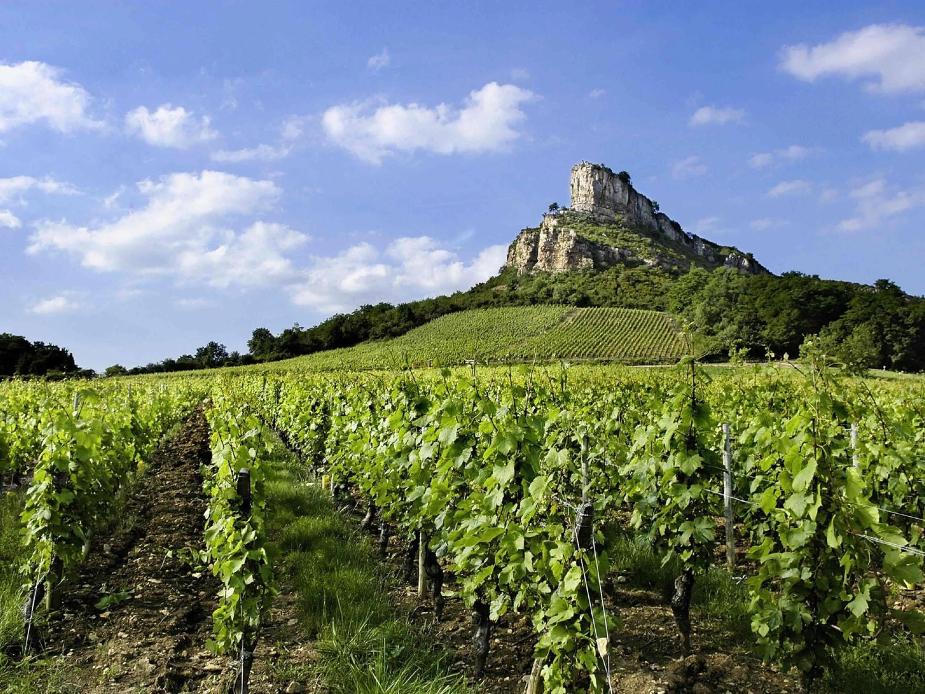 Other in Hôtel Mercure Mâcon Bord de Saône