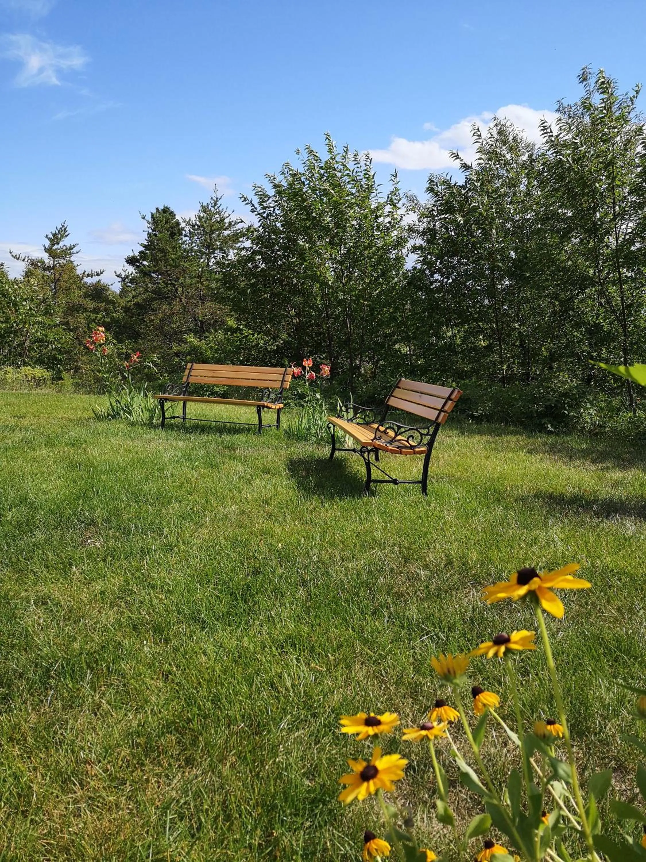 Summer in Au Cachalot Caché le gîte hôtel