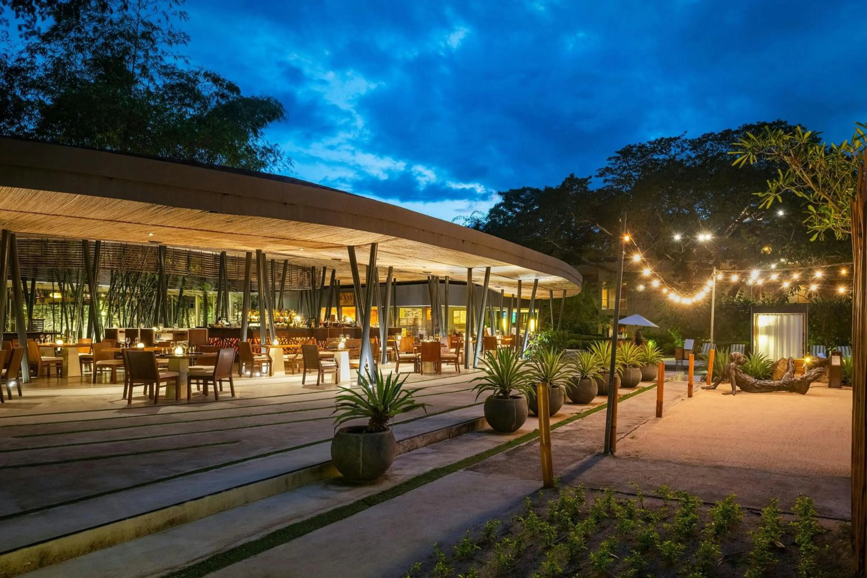 Restaurant/places to eat in El Mangroove Papagayo, Autograph Collection