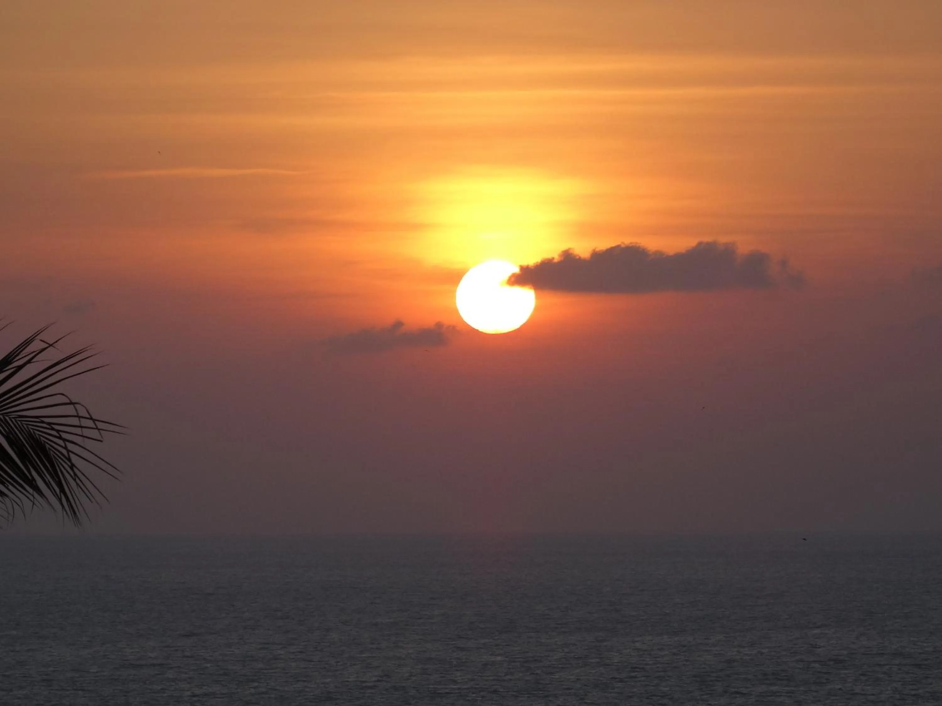 View (from property/room) in Koh Phangan Pavilions Serviced Apartments