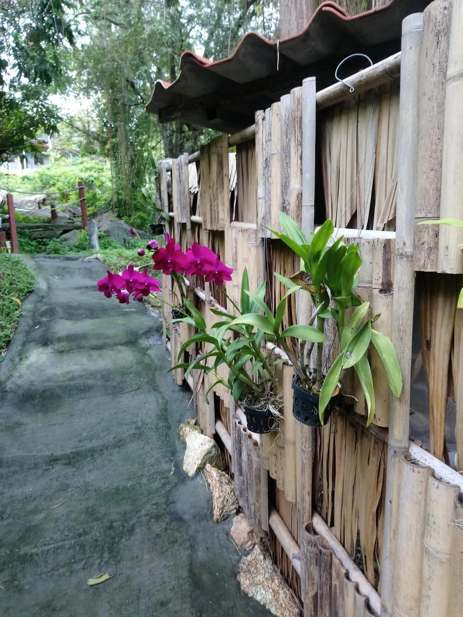 Time of day in Koh Phangan Pavilions Serviced Apartments