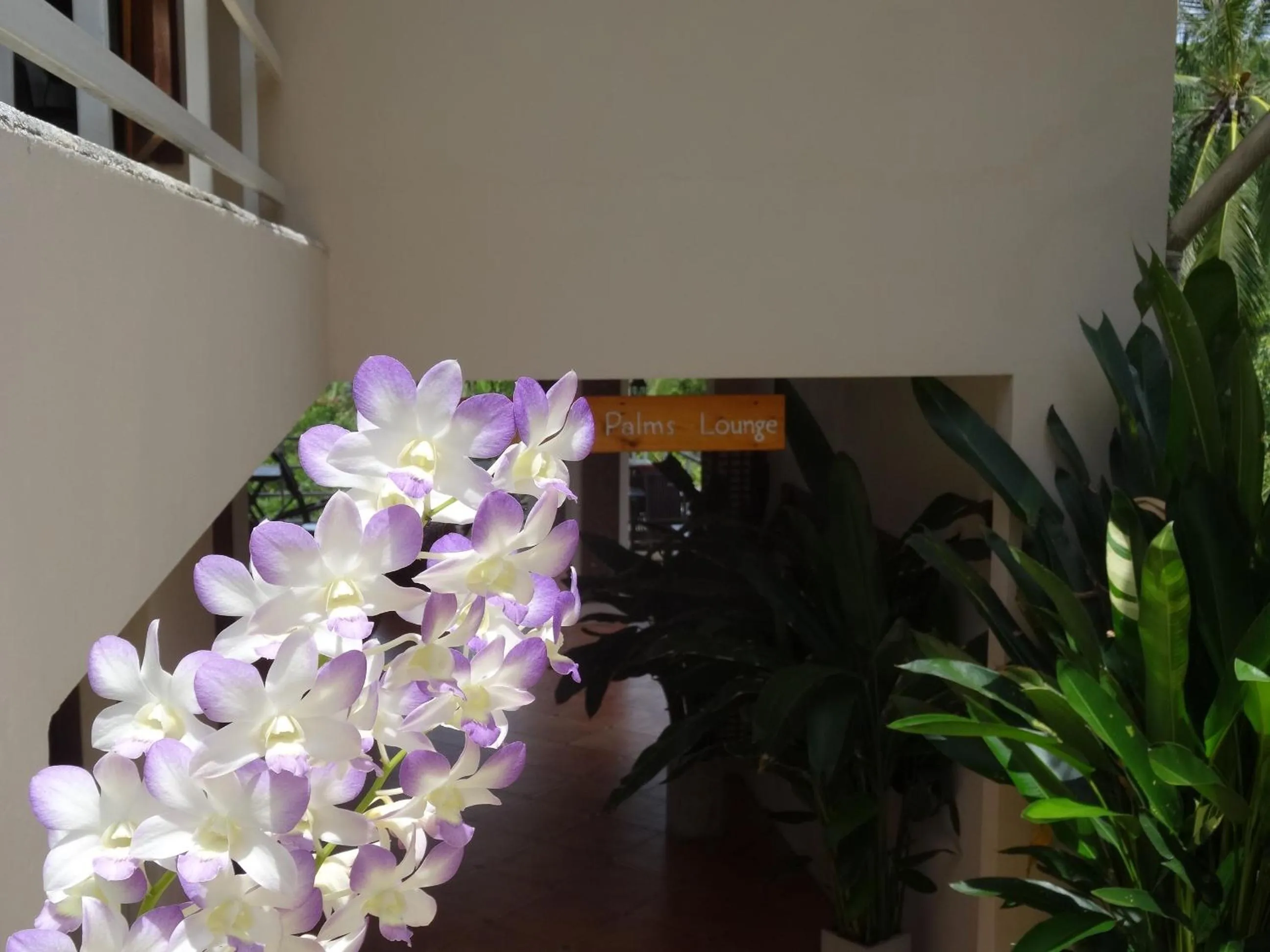 Koh Phangan Pavilions Serviced Apartments