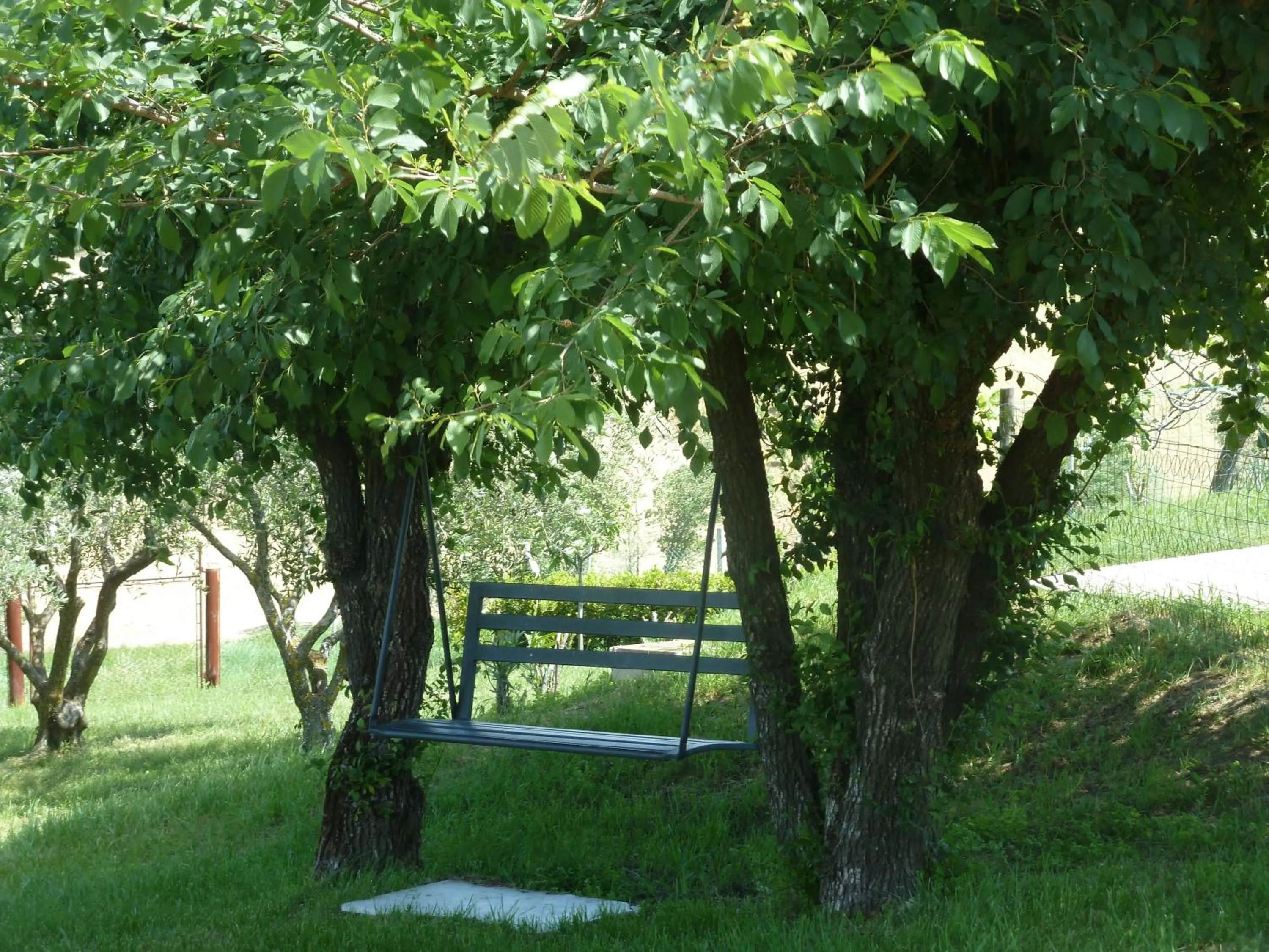 Garden in Il Giardino Degli Ulivi