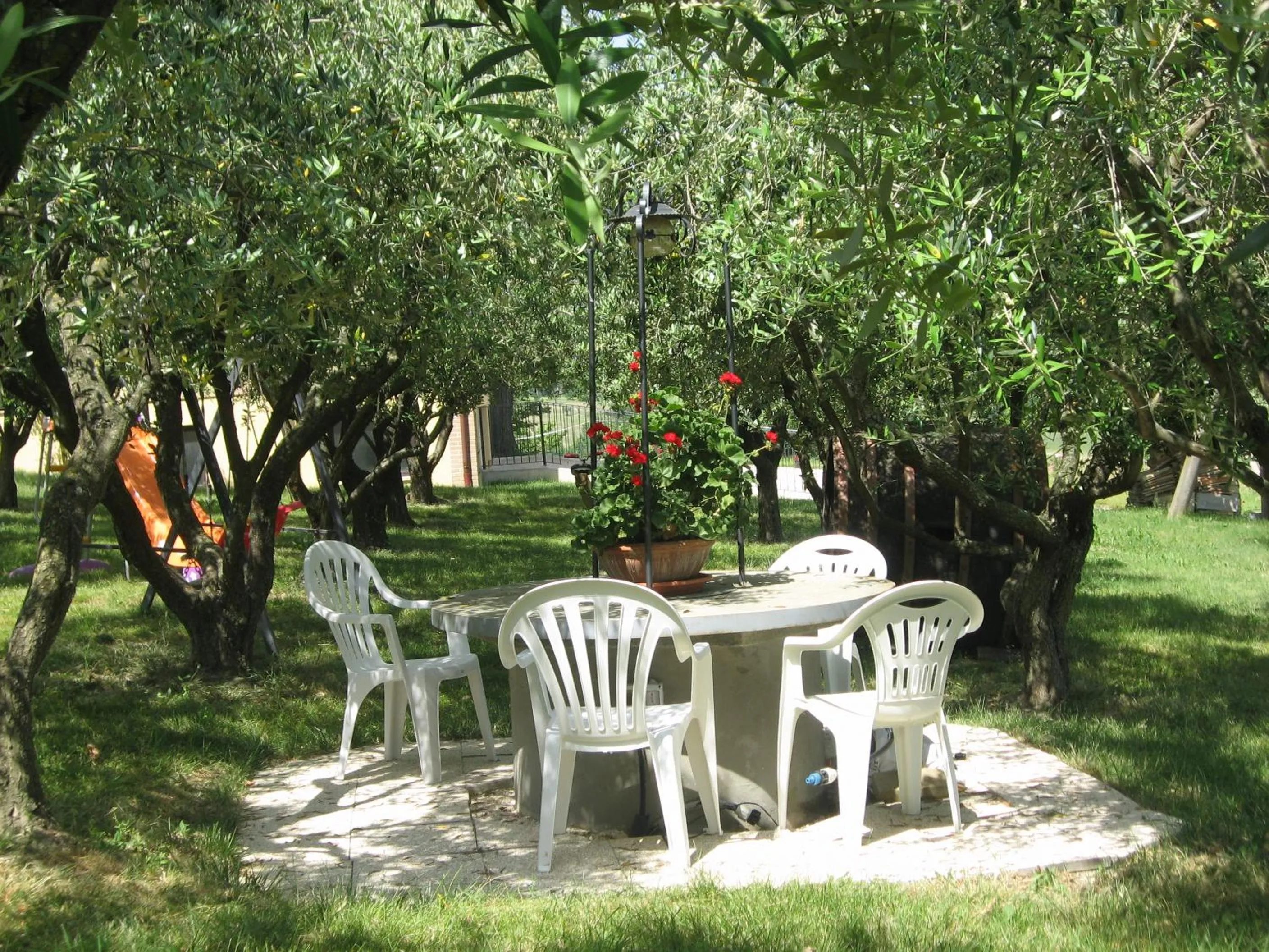 Garden in Il Giardino Degli Ulivi