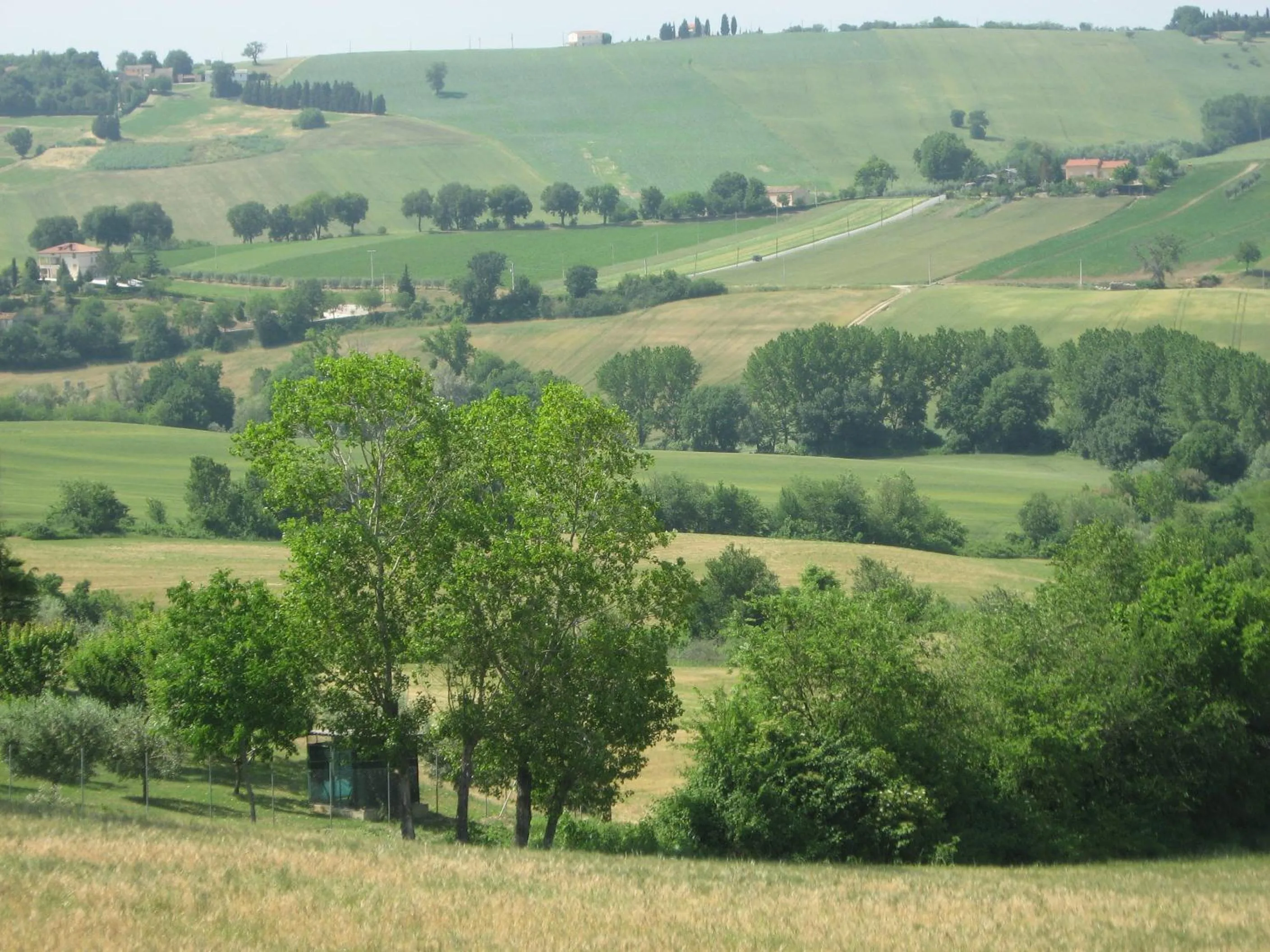 View (from property/room) in Il Giardino Degli Ulivi