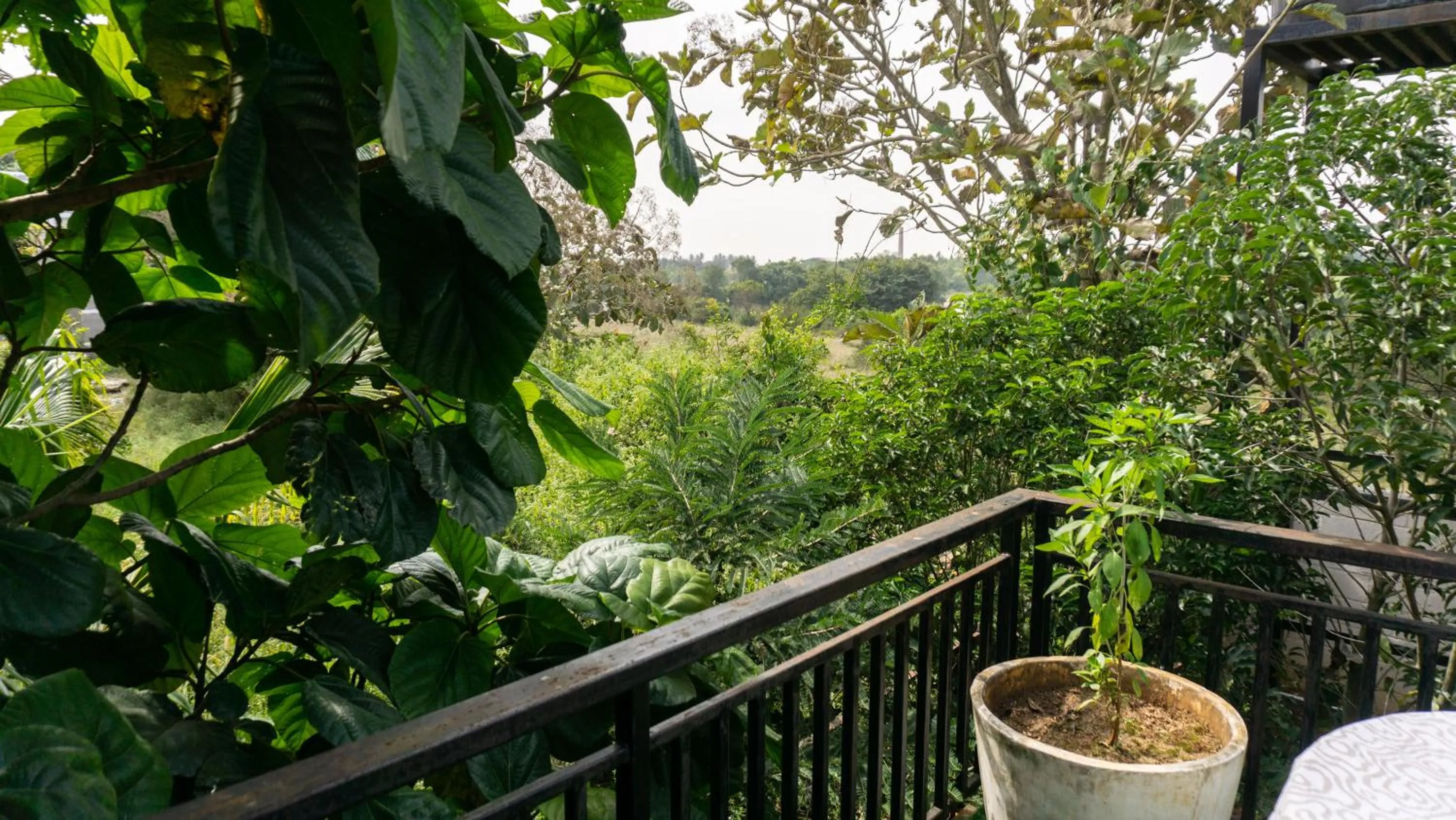 16 Bedouin Private Pool Villa