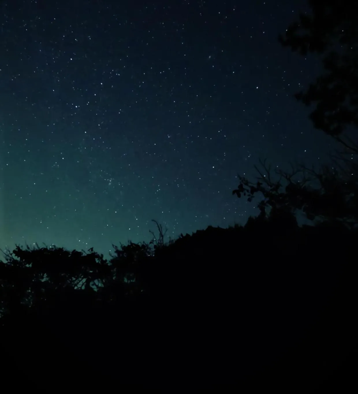 Natural landscape in Cozy Villa with Hot springs and Nature