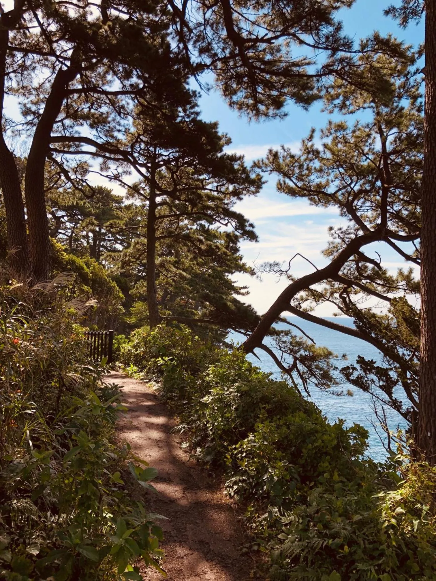 Nearby landmark in Cozy Villa with Hot springs and Nature