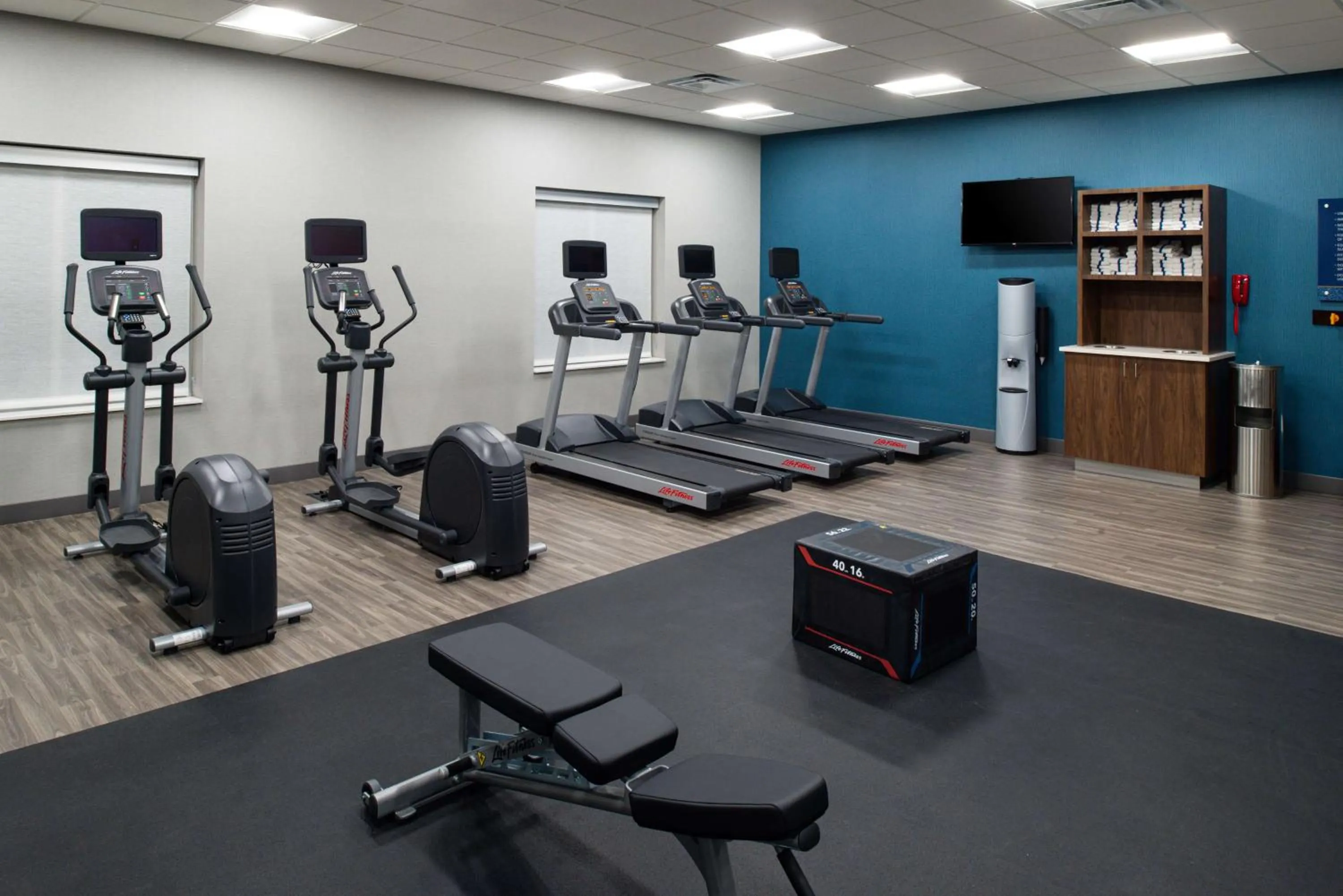 Fitness centre/facilities in Hampton Inn & Suites Adrian, Mi