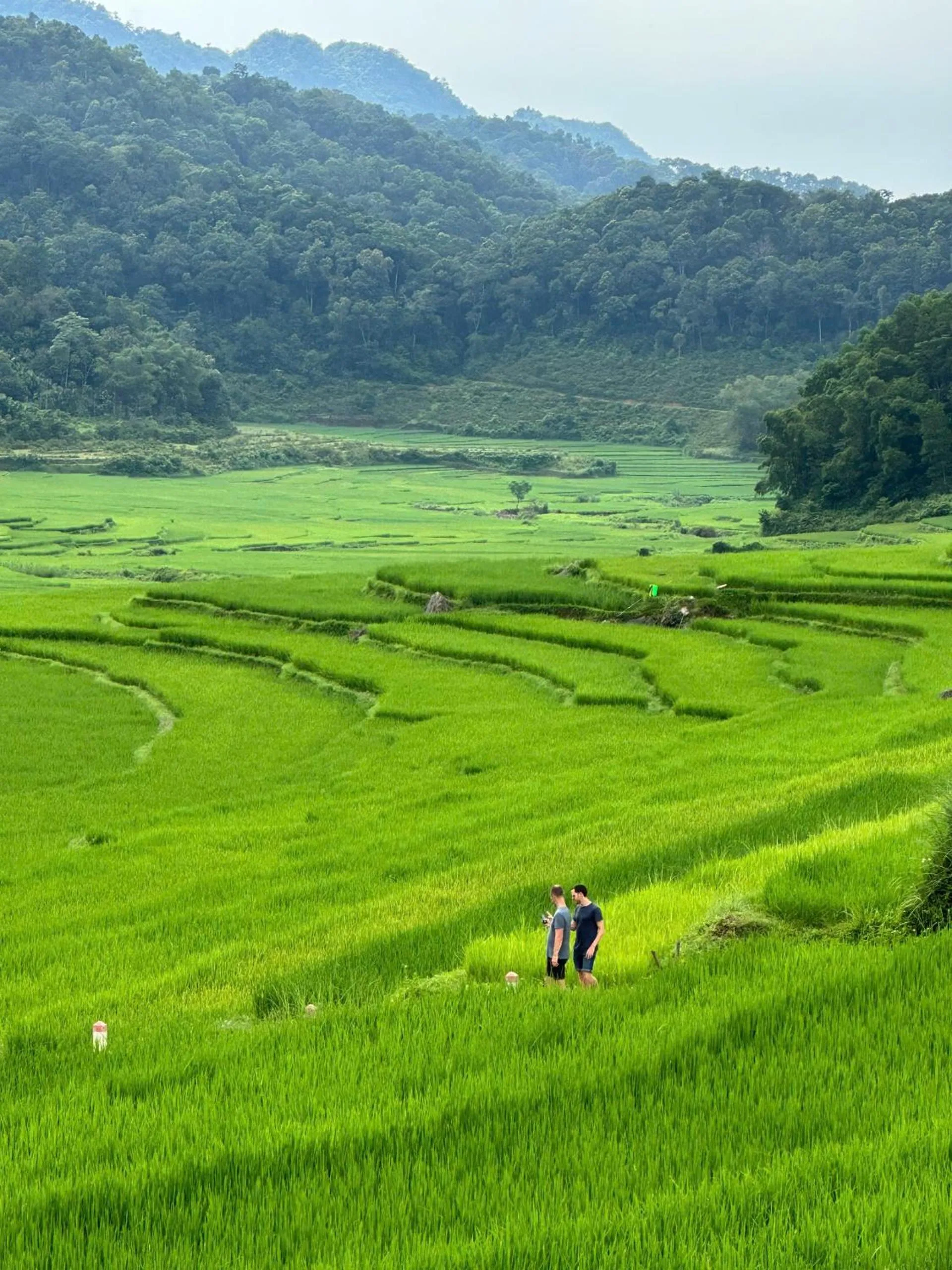 Natural landscape in PU LUONG BOUTIQUE GARDEN