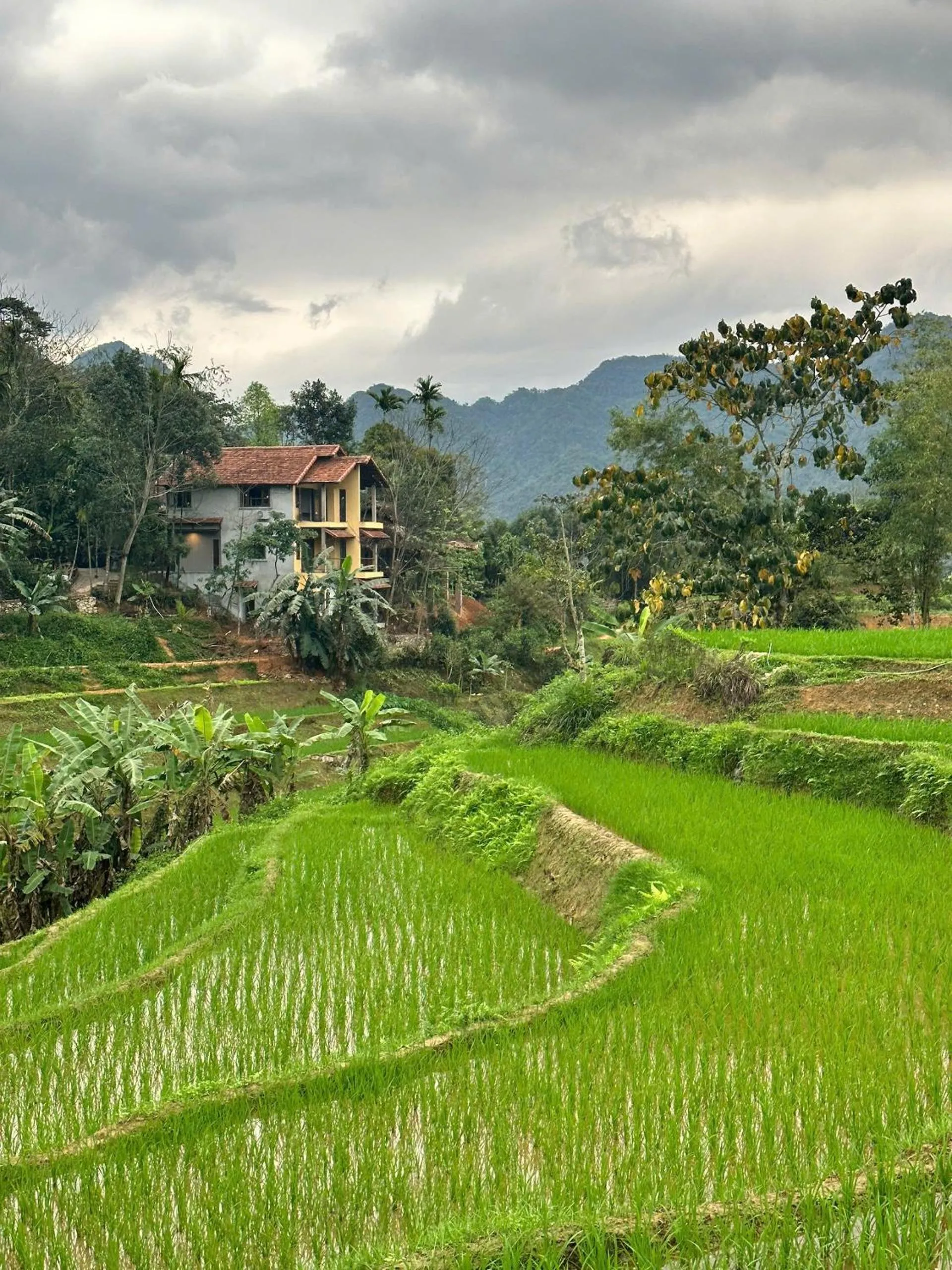 Natural landscape in PU LUONG BOUTIQUE GARDEN