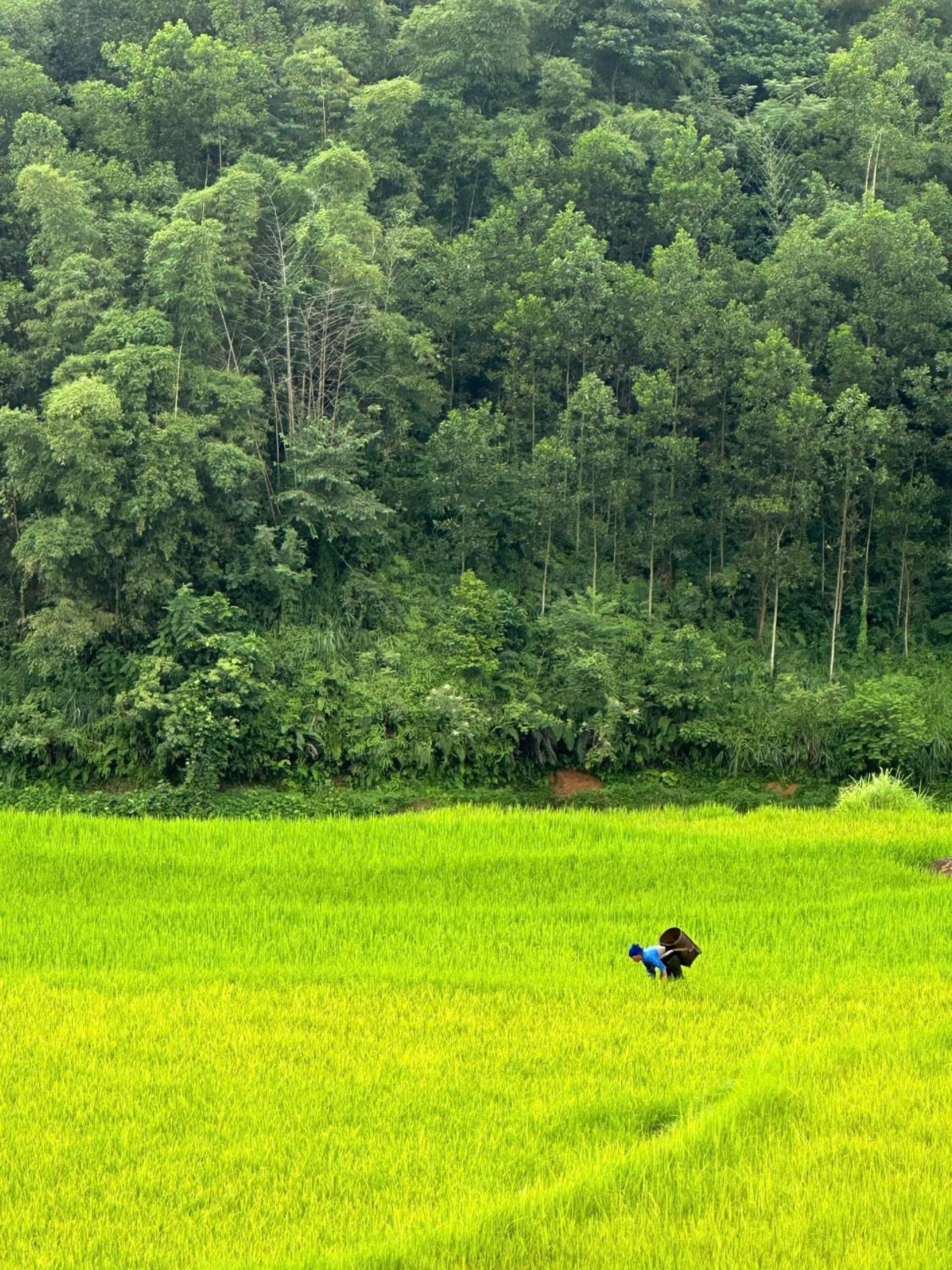 People in PU LUONG BOUTIQUE GARDEN