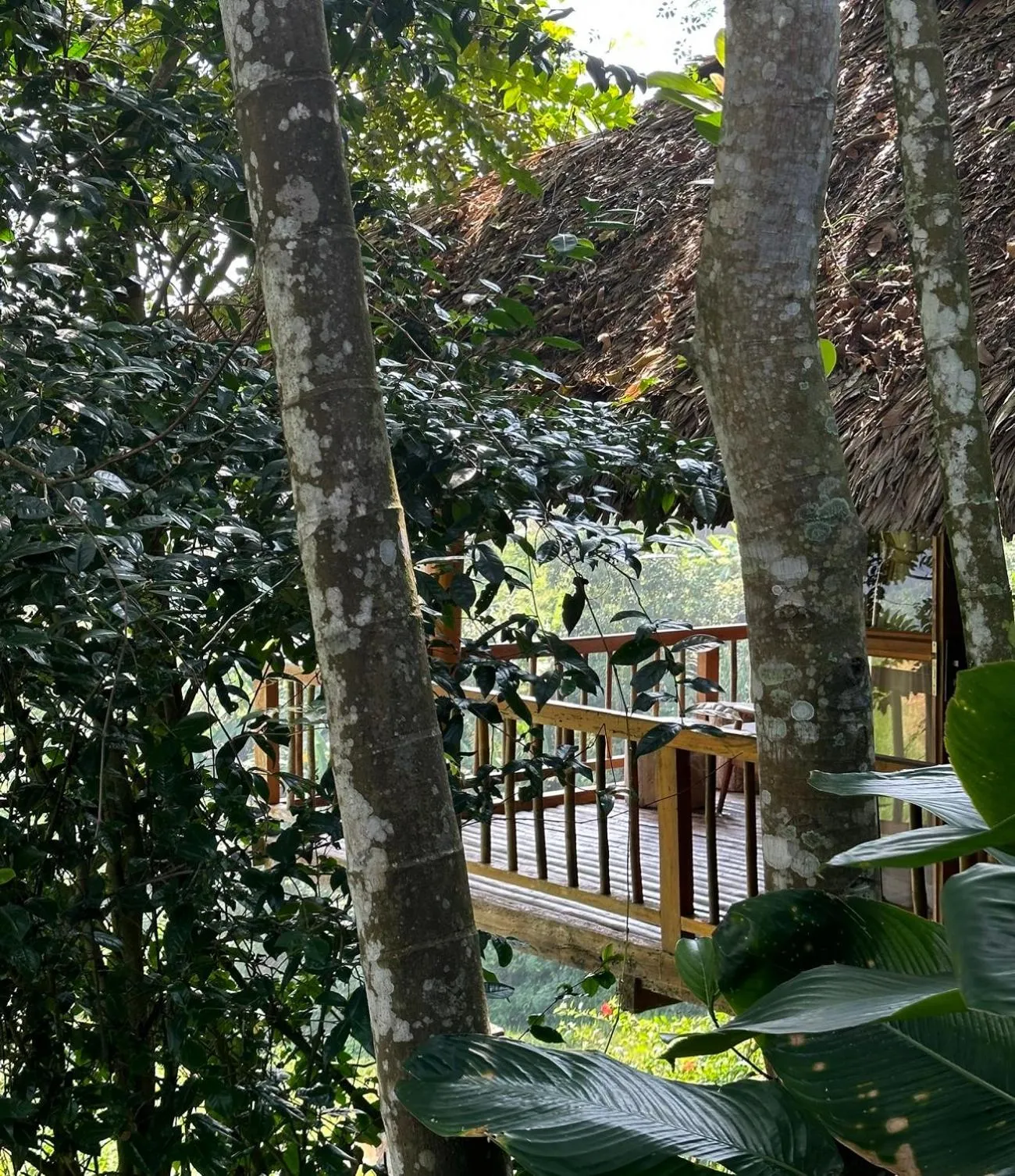 Balcony/Terrace in PU LUONG BOUTIQUE GARDEN