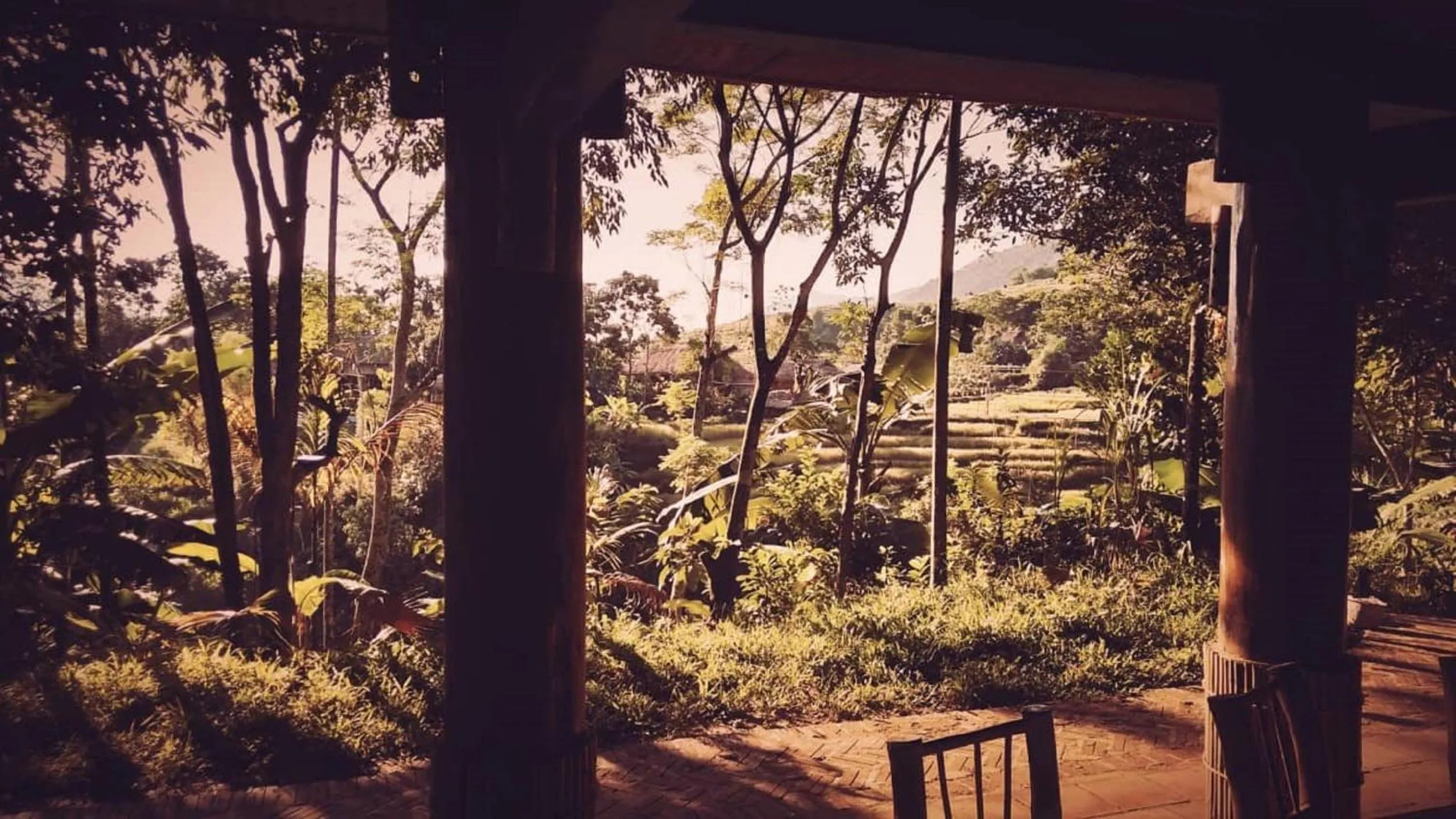 Natural landscape in PU LUONG BOUTIQUE GARDEN