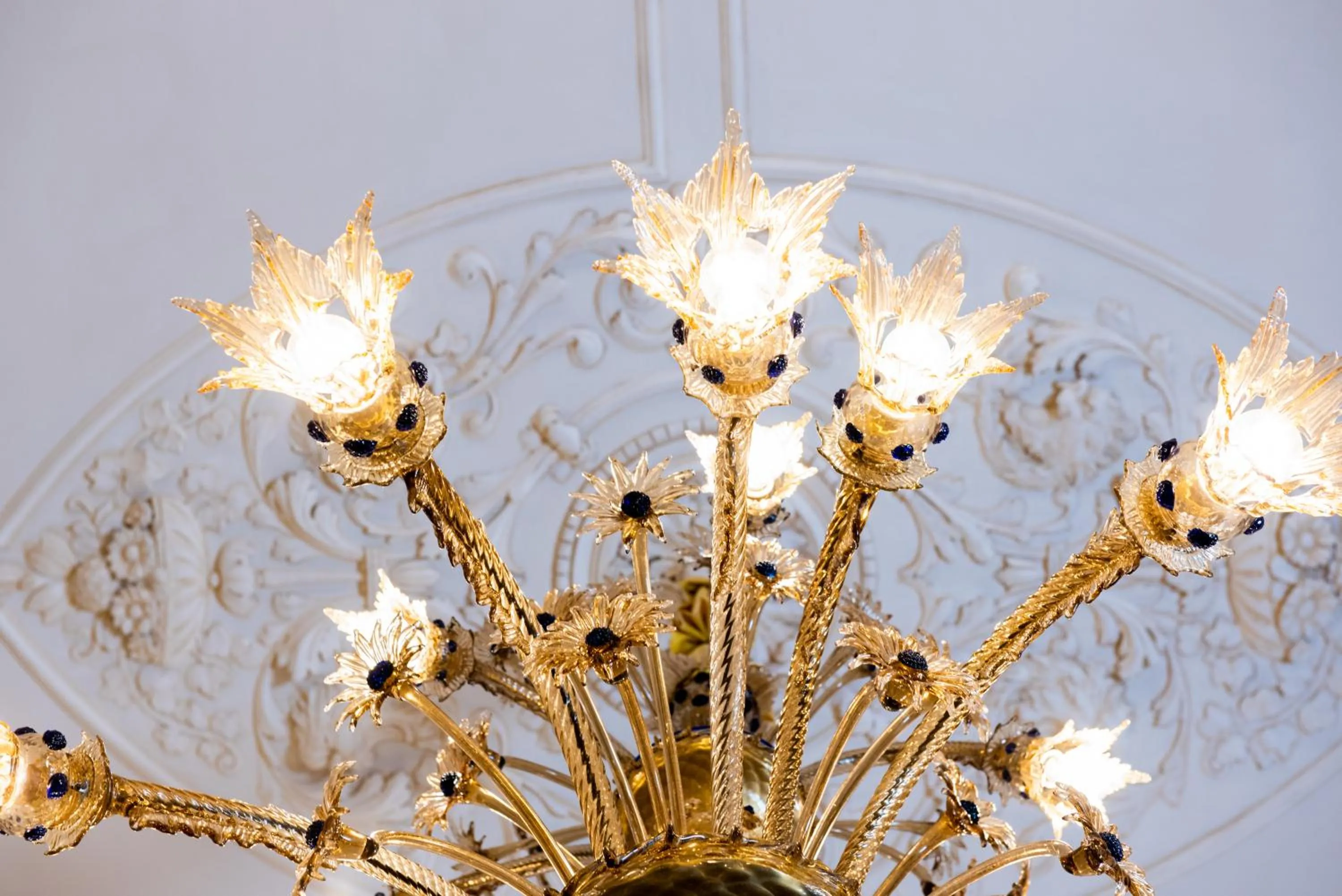 Spring in Palazzo Degli Antoci