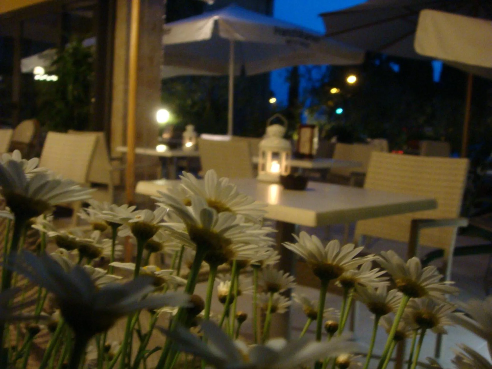 Facade/entrance in Hotel Ristorante Al Caminetto WorldHotels Crafted Adults Only