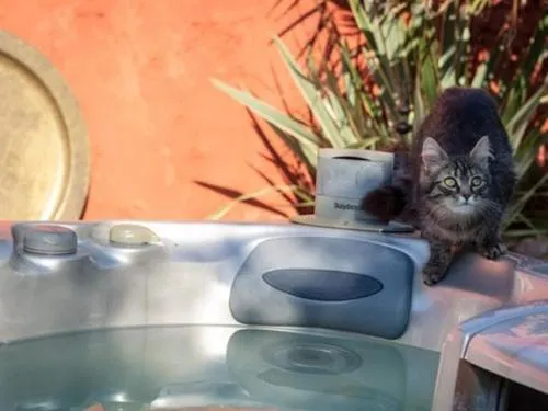 Property building in Le Corrigot