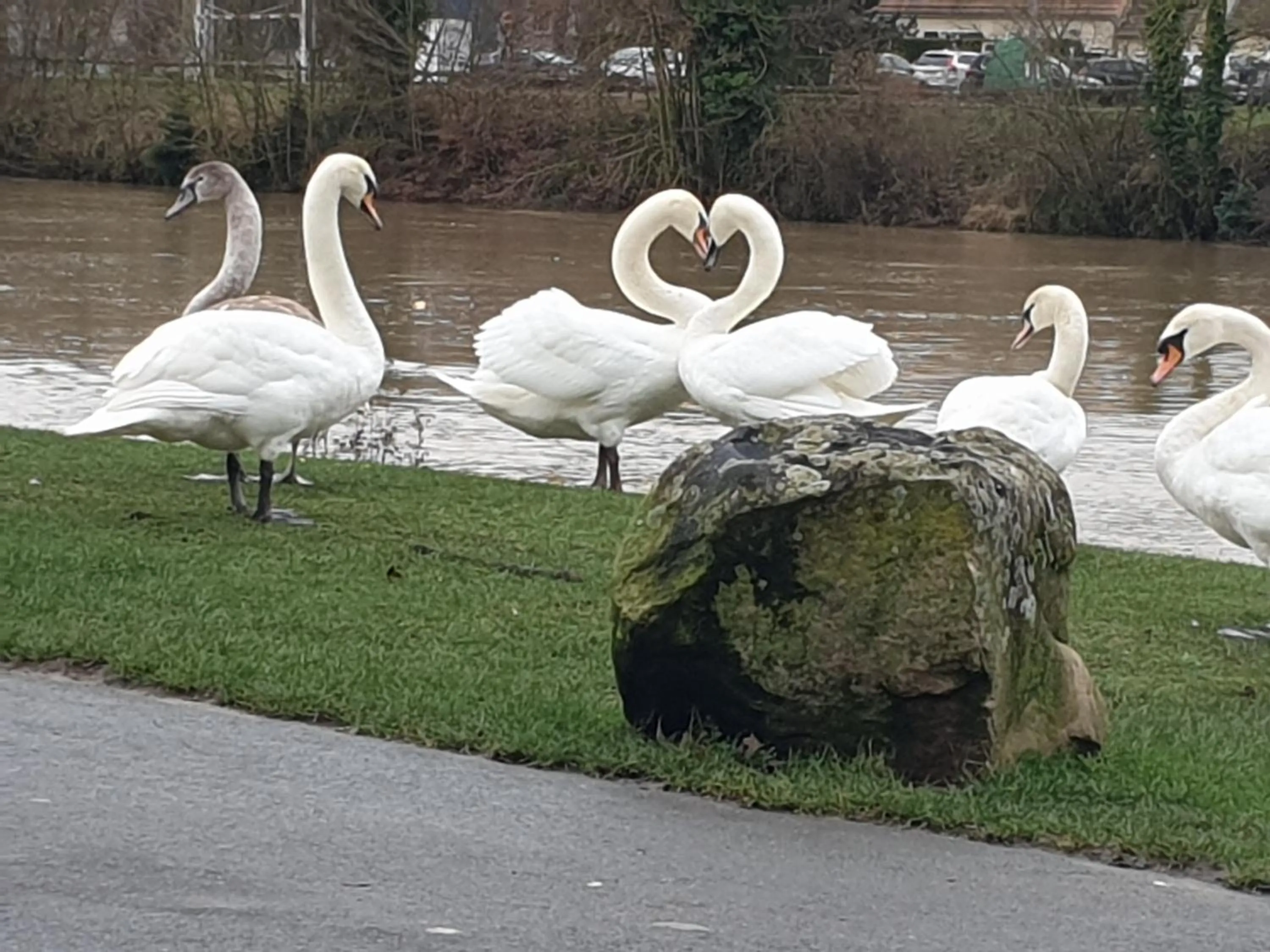 River view in HOTEL Chateau-Thierry Centre