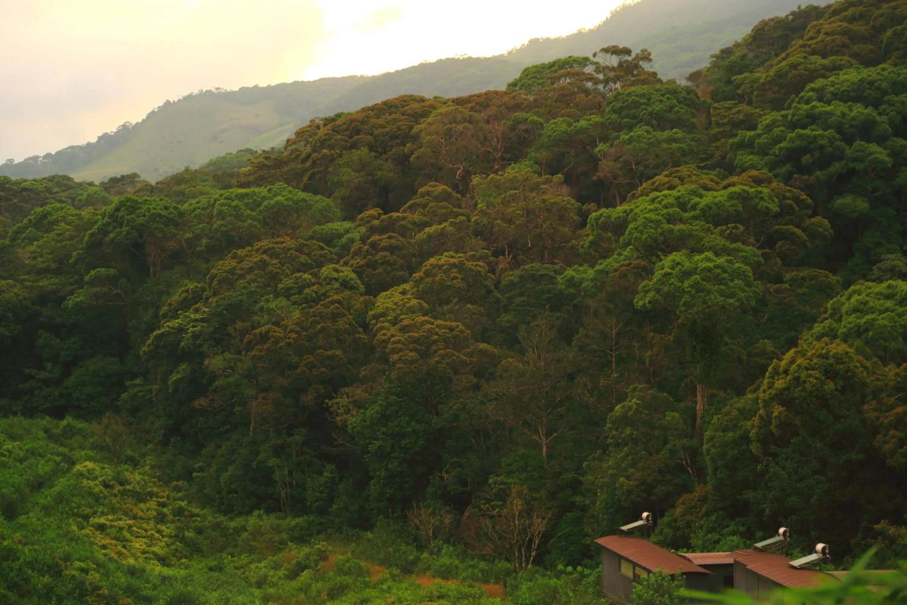Mountain view in The Rainforest Ecolodge - Sinharaja with Shuttle Service from Car Park