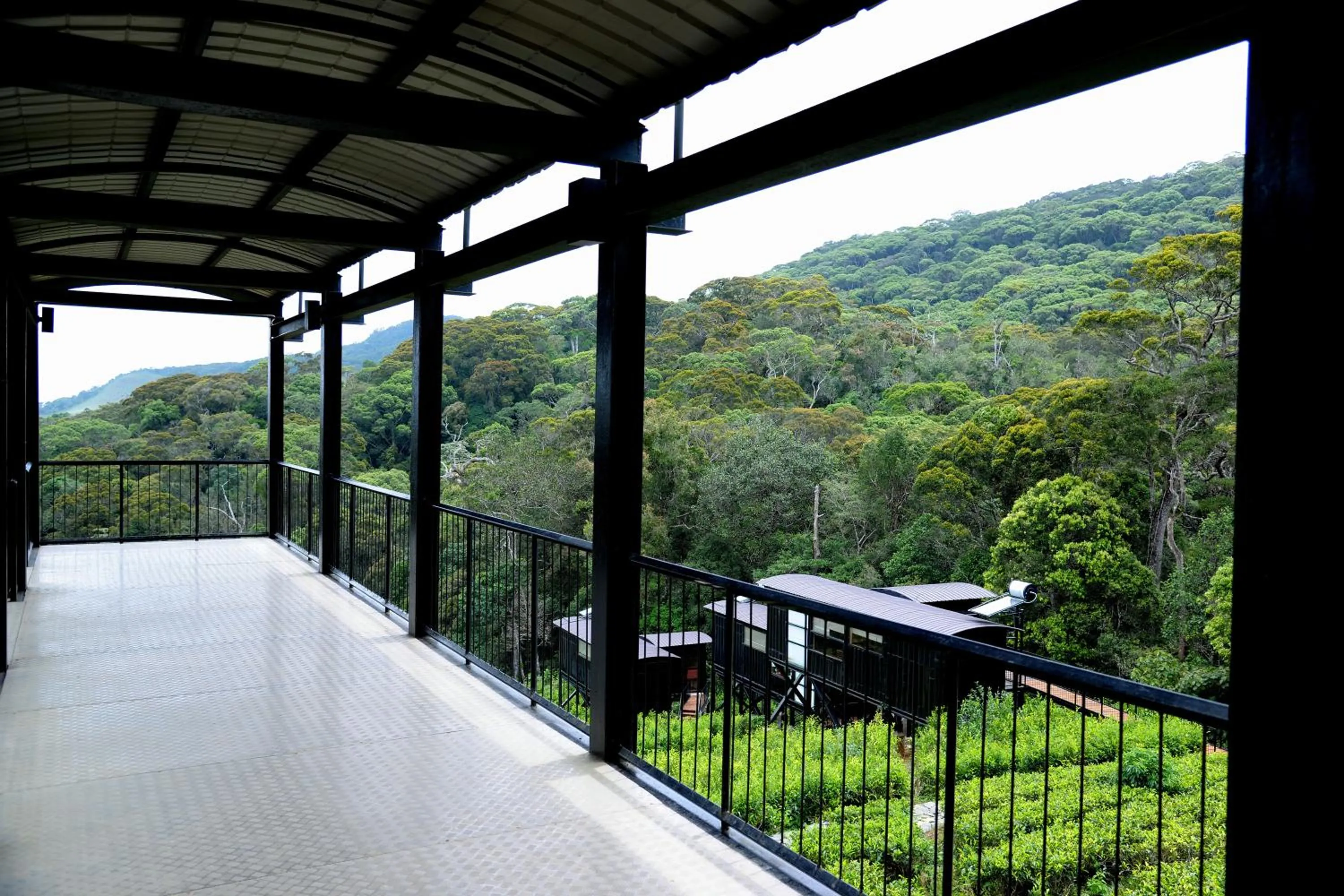 Lobby or reception in The Rainforest Ecolodge - Sinharaja with Shuttle Service from Car Park